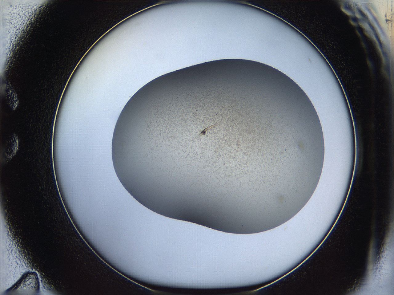 05k2_C11_ImagerDefaults_2.jpg