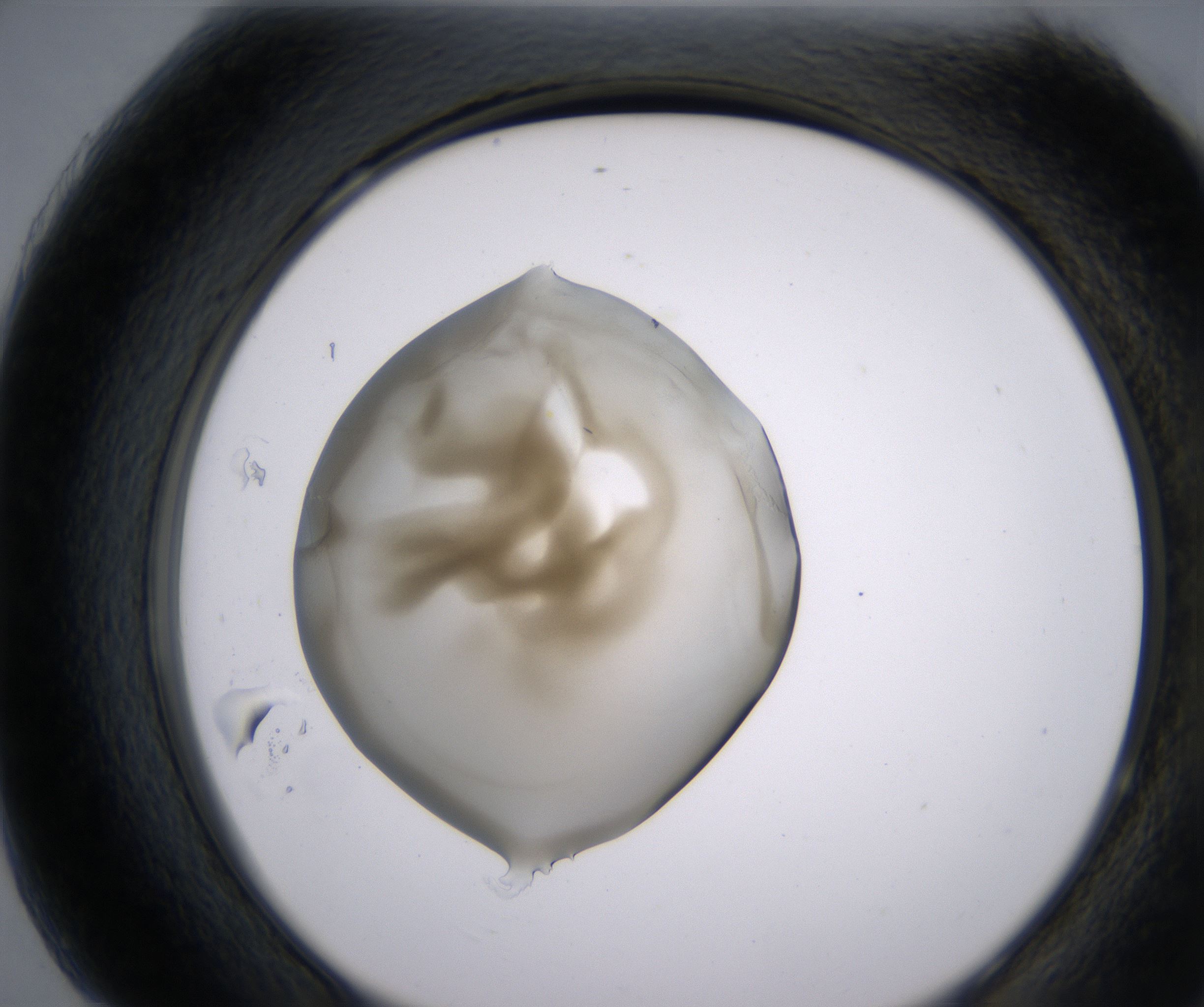 H7_HighResolution_Precipitate_2.jpg