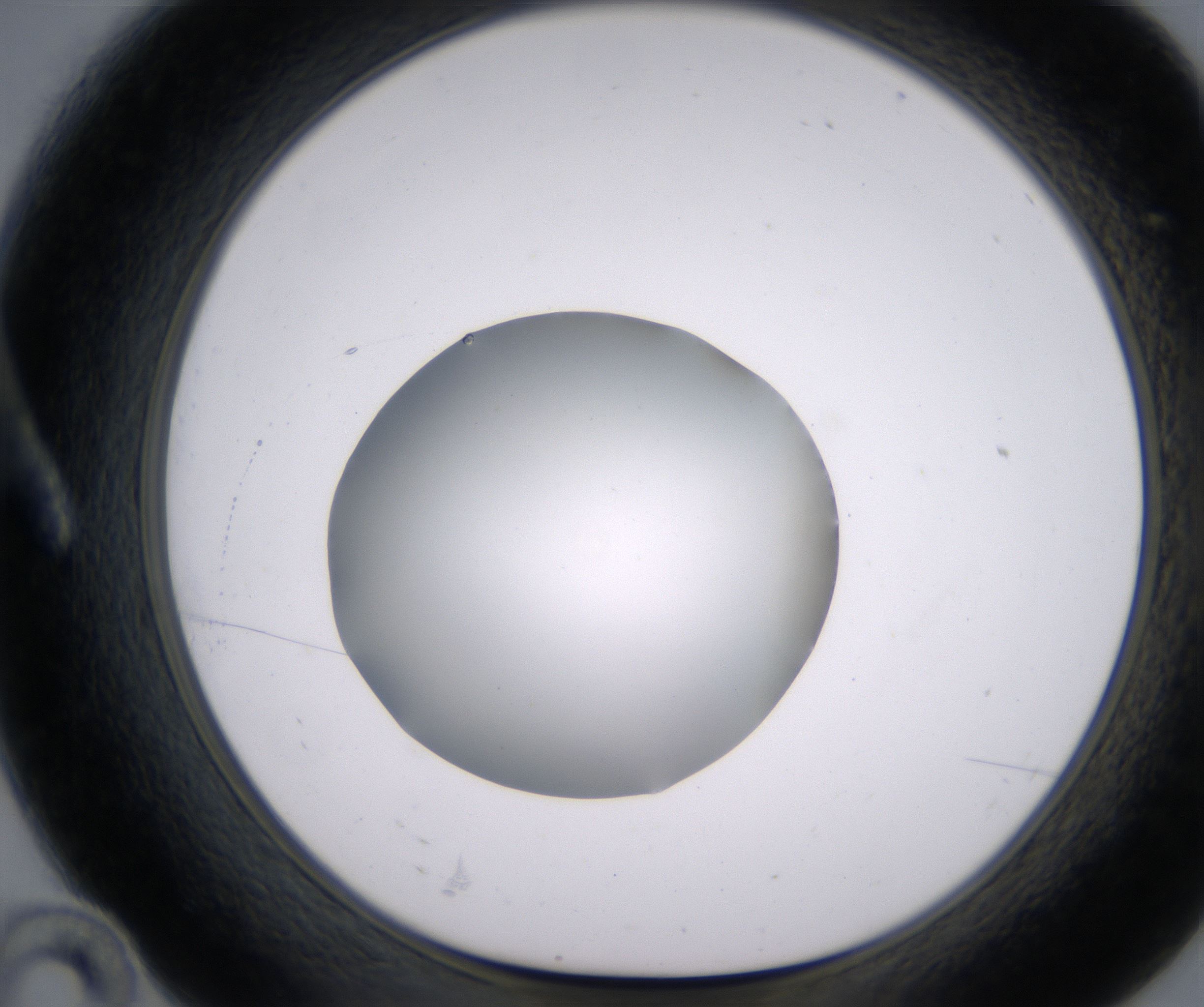 A10_HighResolution_Clear_1.jpg