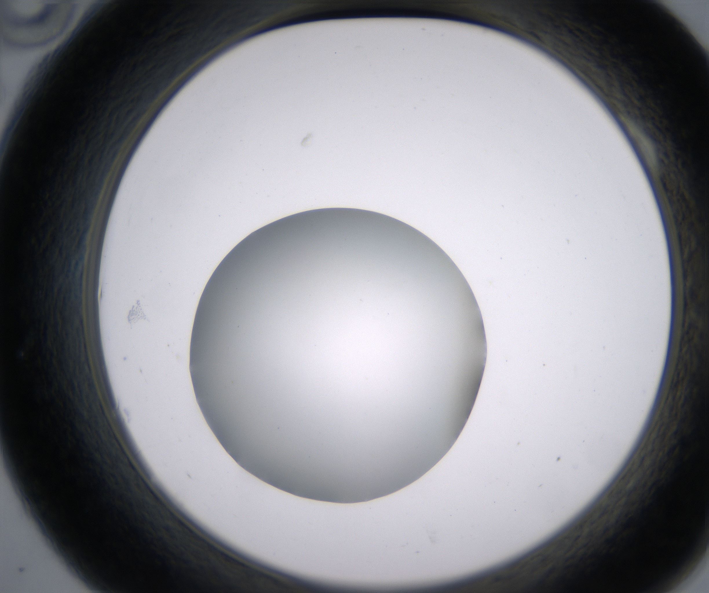 A10_HighResolution_Clear_2.jpg