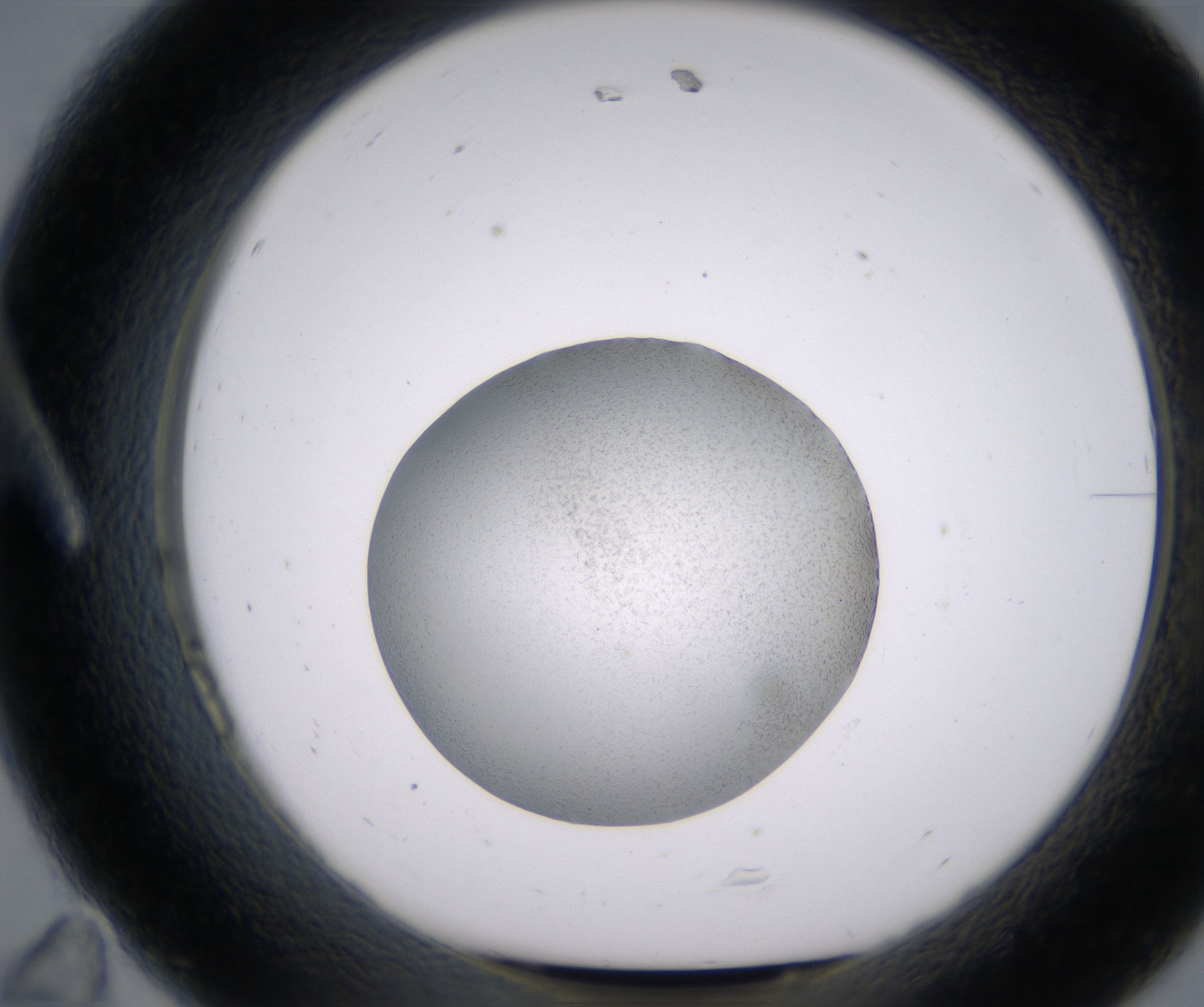 A11_HighResolution_Precipitate_1.jpg