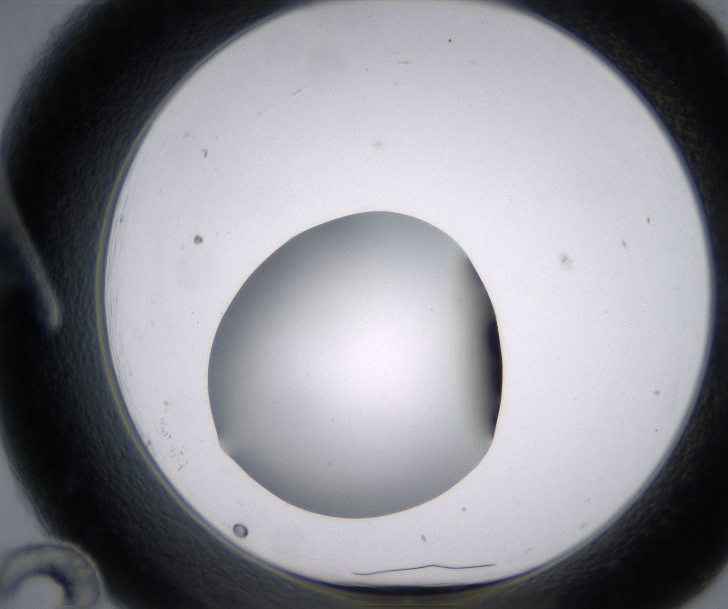 A12_HighResolution_Clear_1.jpg