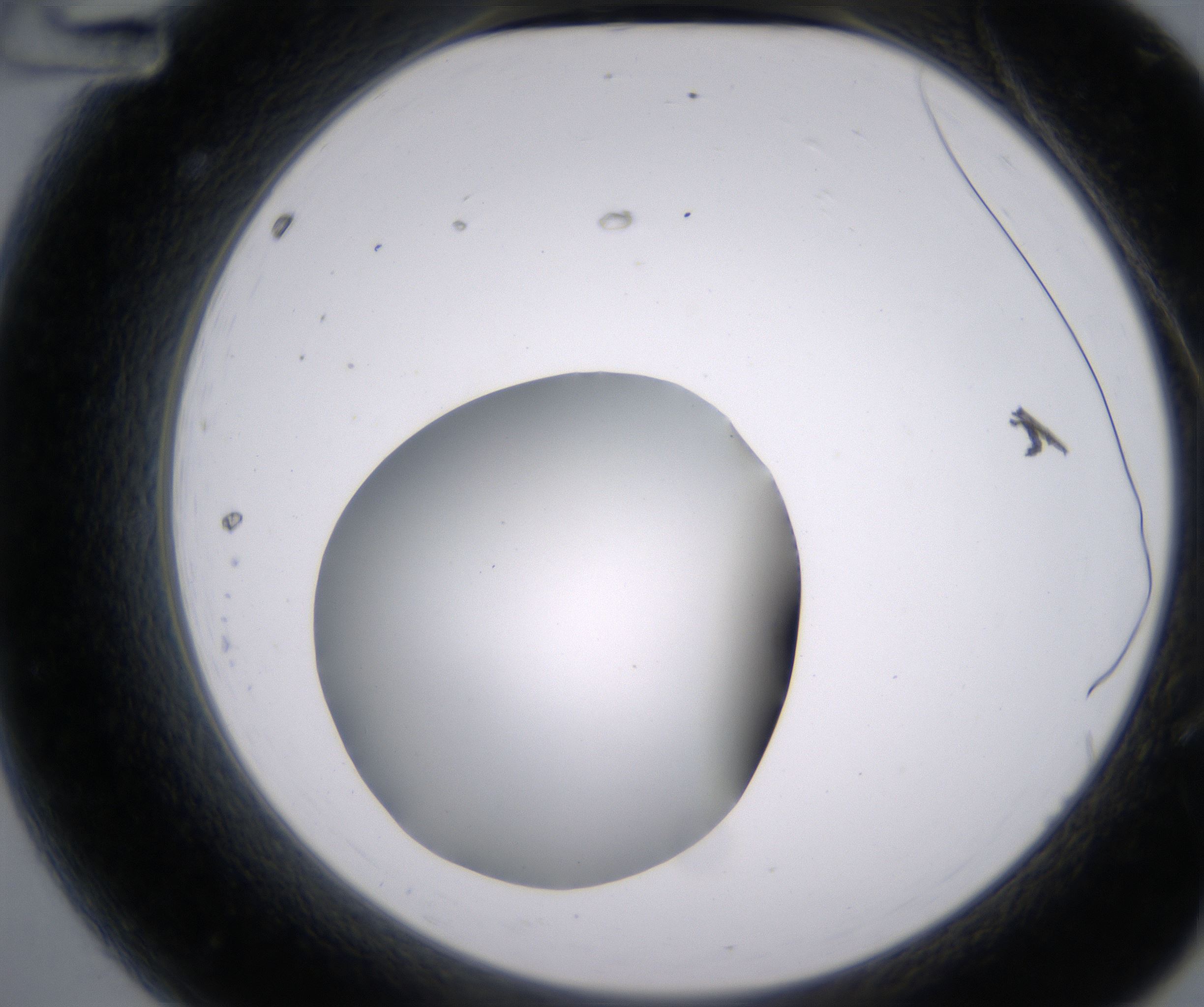 A12_HighResolution_Clear_2.jpg