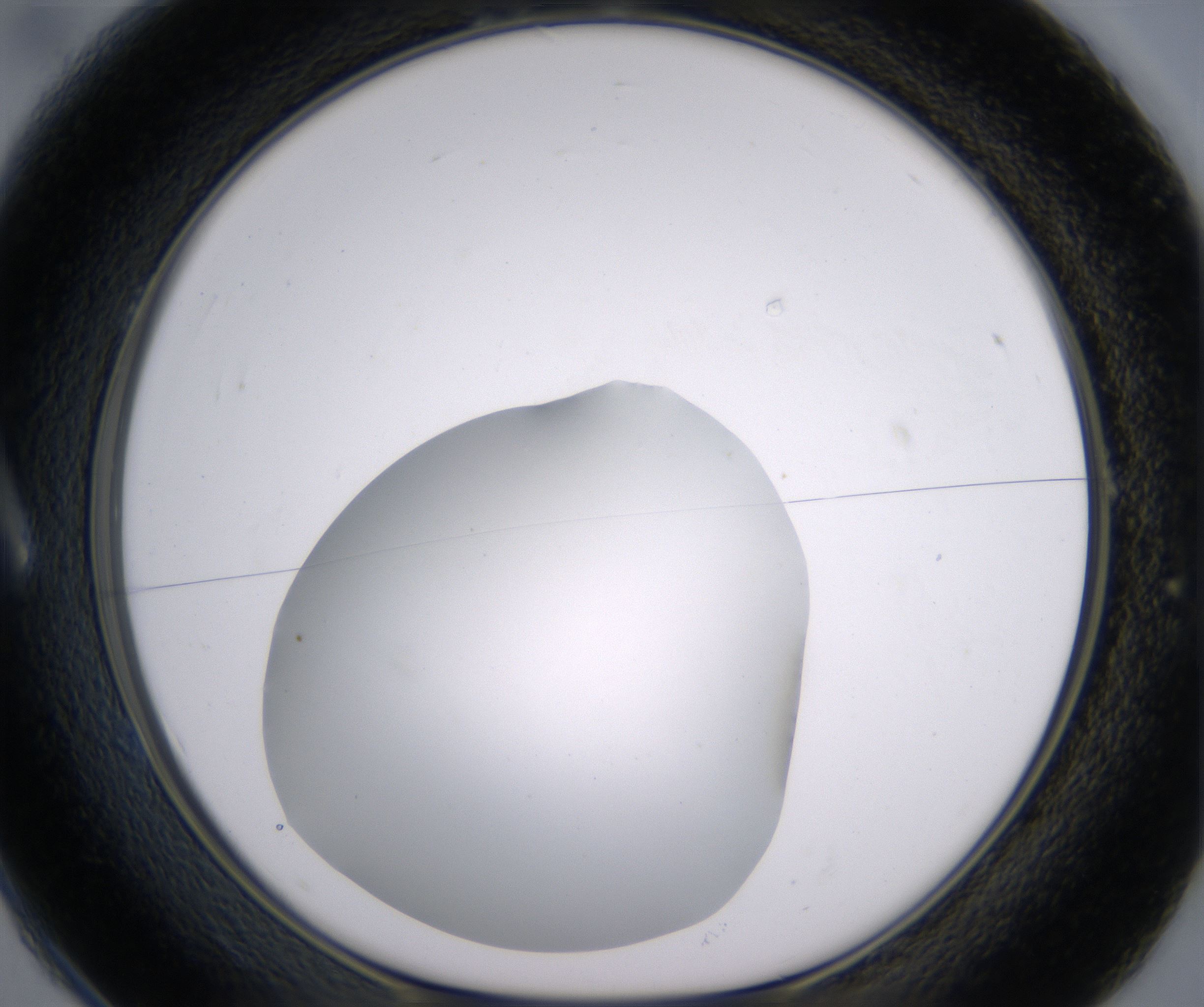 A1_HighResolution_Clear_1.jpg