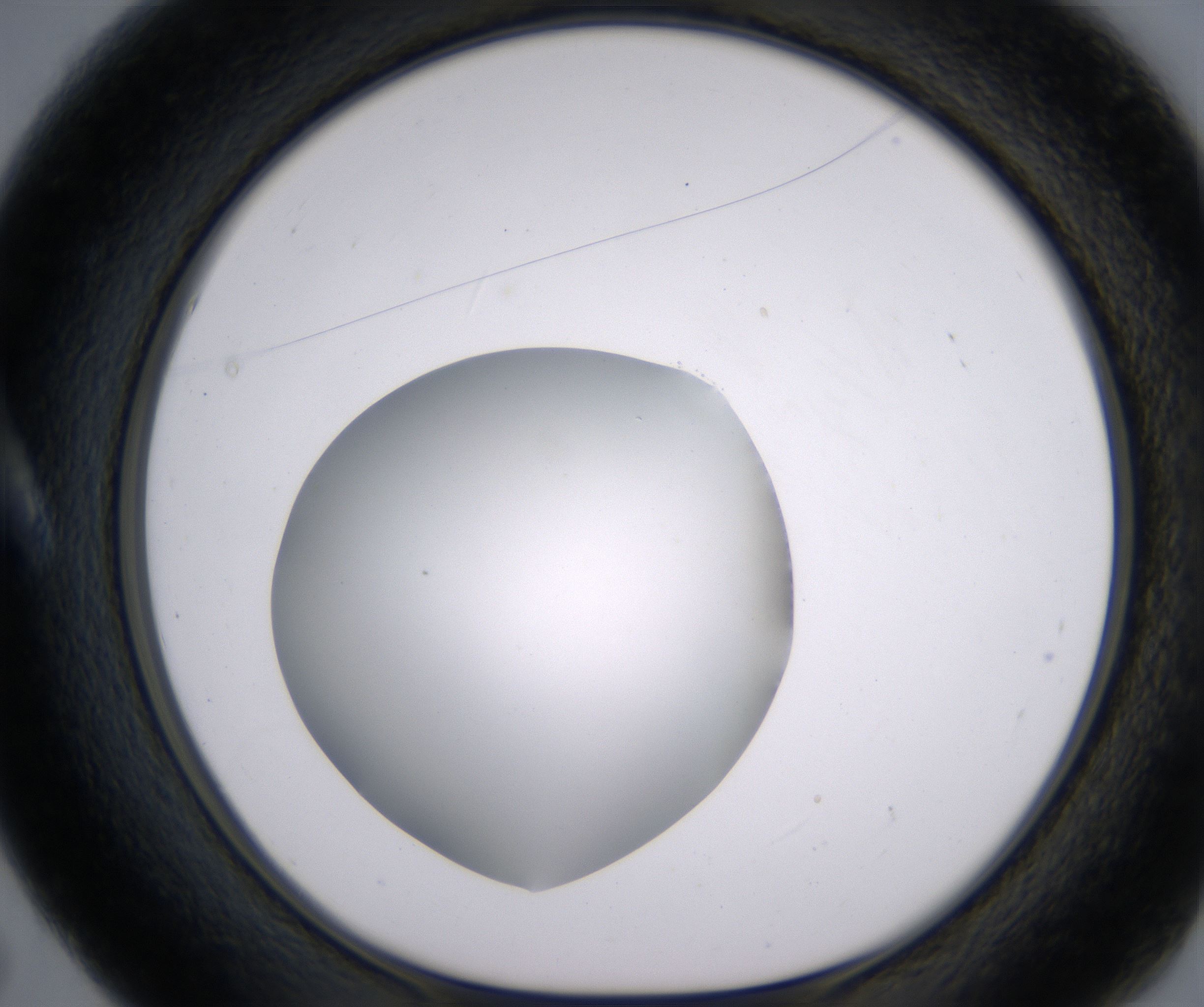 A5_HighResolution_Clear_1.jpg