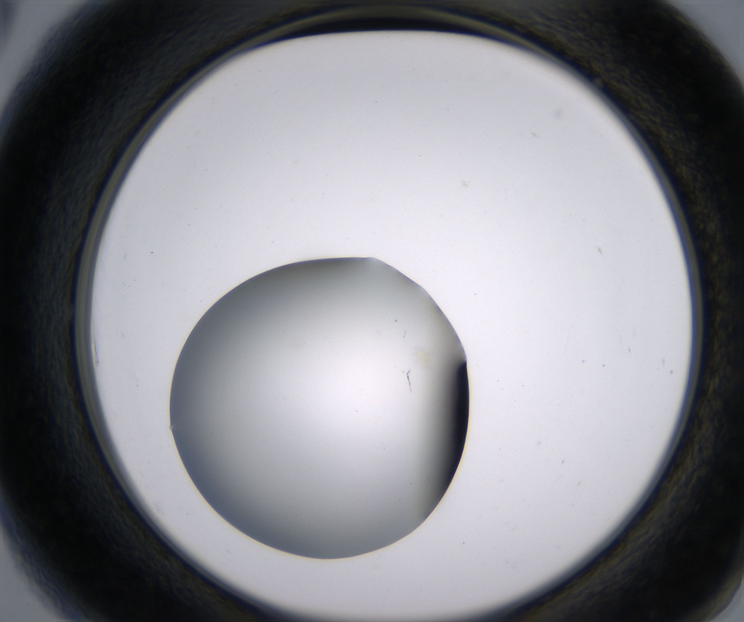 A6_HighResolution_Clear_2.jpg