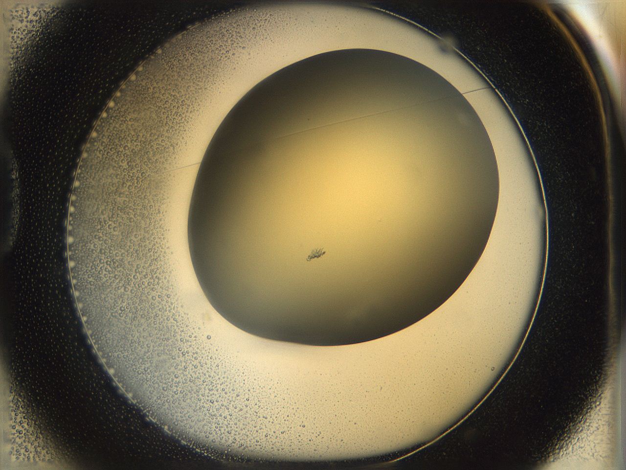 05k2_D1_ImagerDefaults_0.jpg