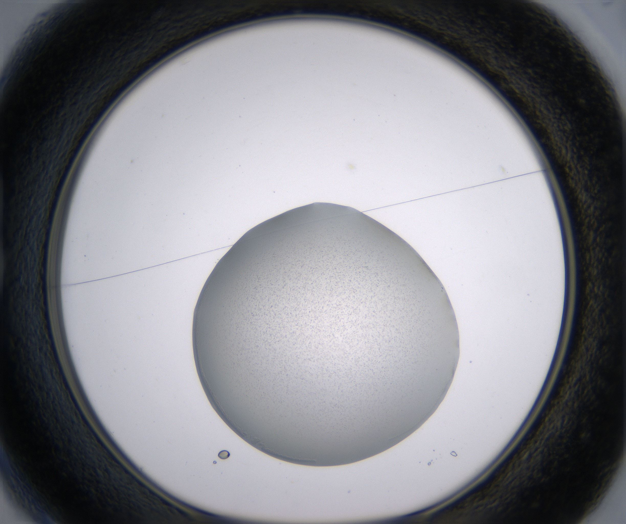 B1_HighResolution_Precipitate_1.jpg