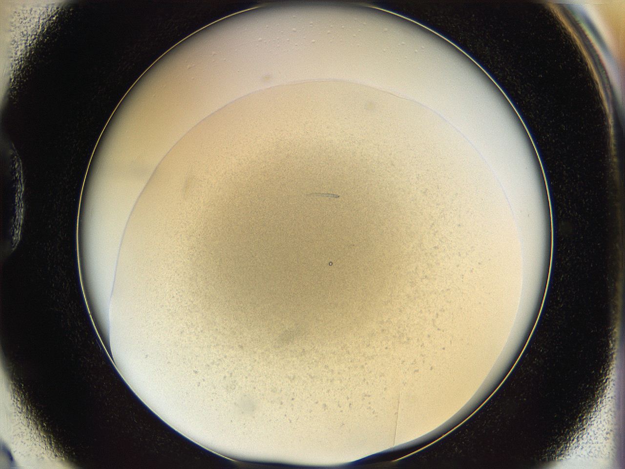 05k2_D2_ImagerDefaults_3.jpg