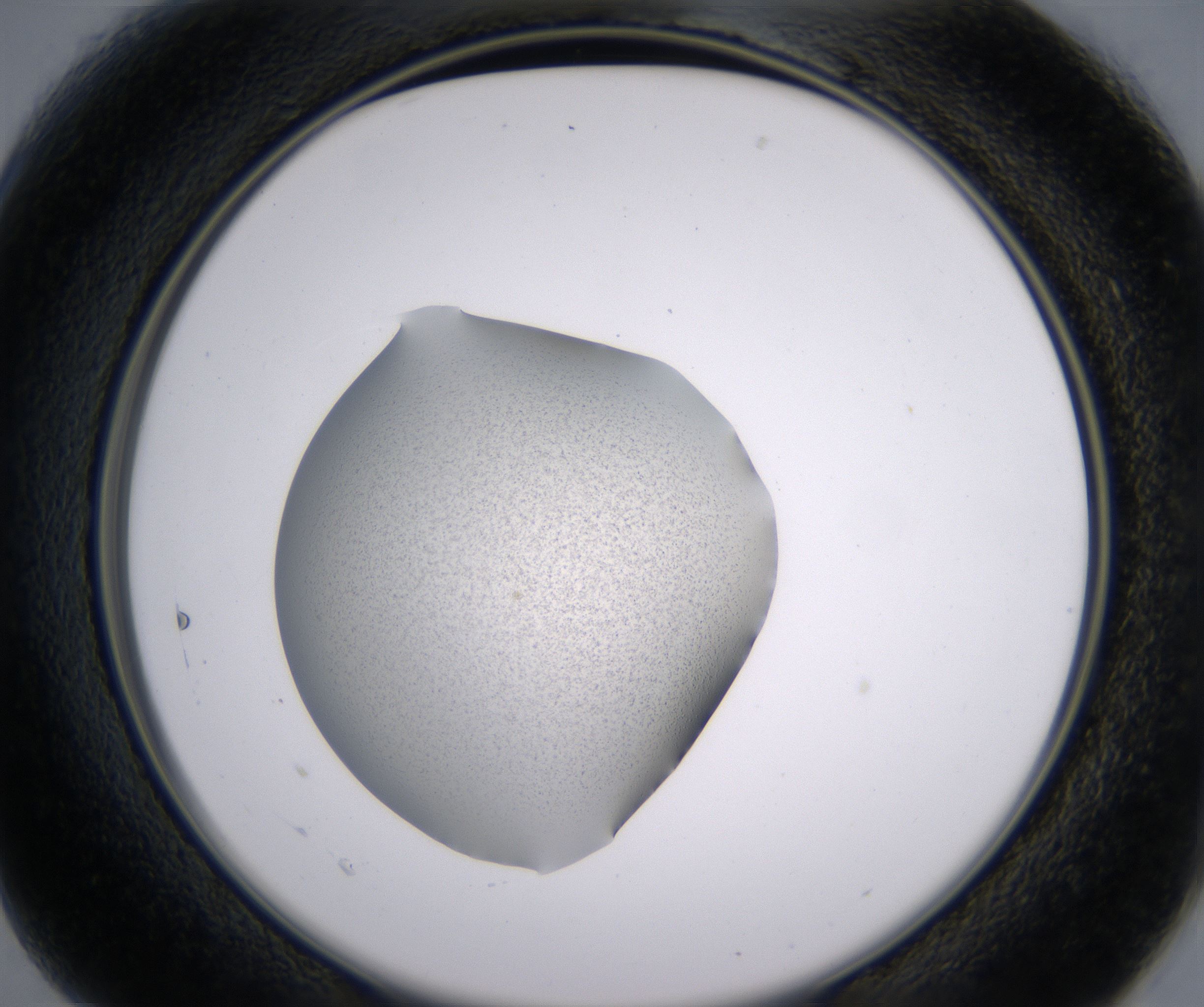 B1_HighResolution_Precipitate_2.jpg
