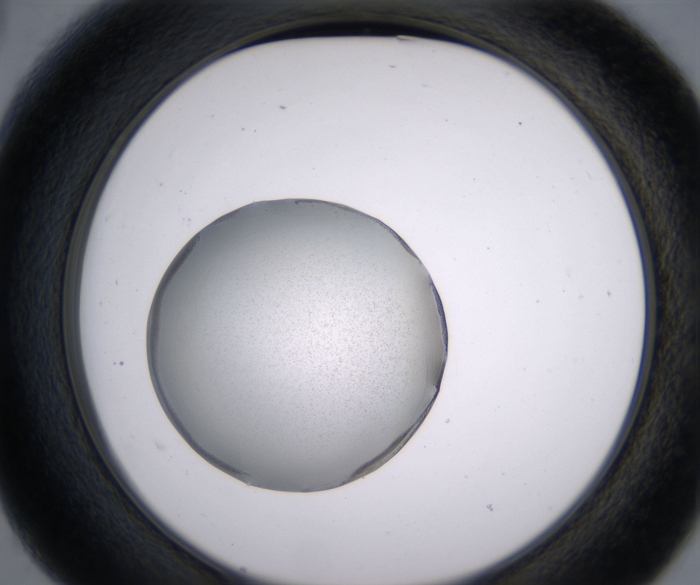 B3_HighResolution_Precipitate_2.jpg
