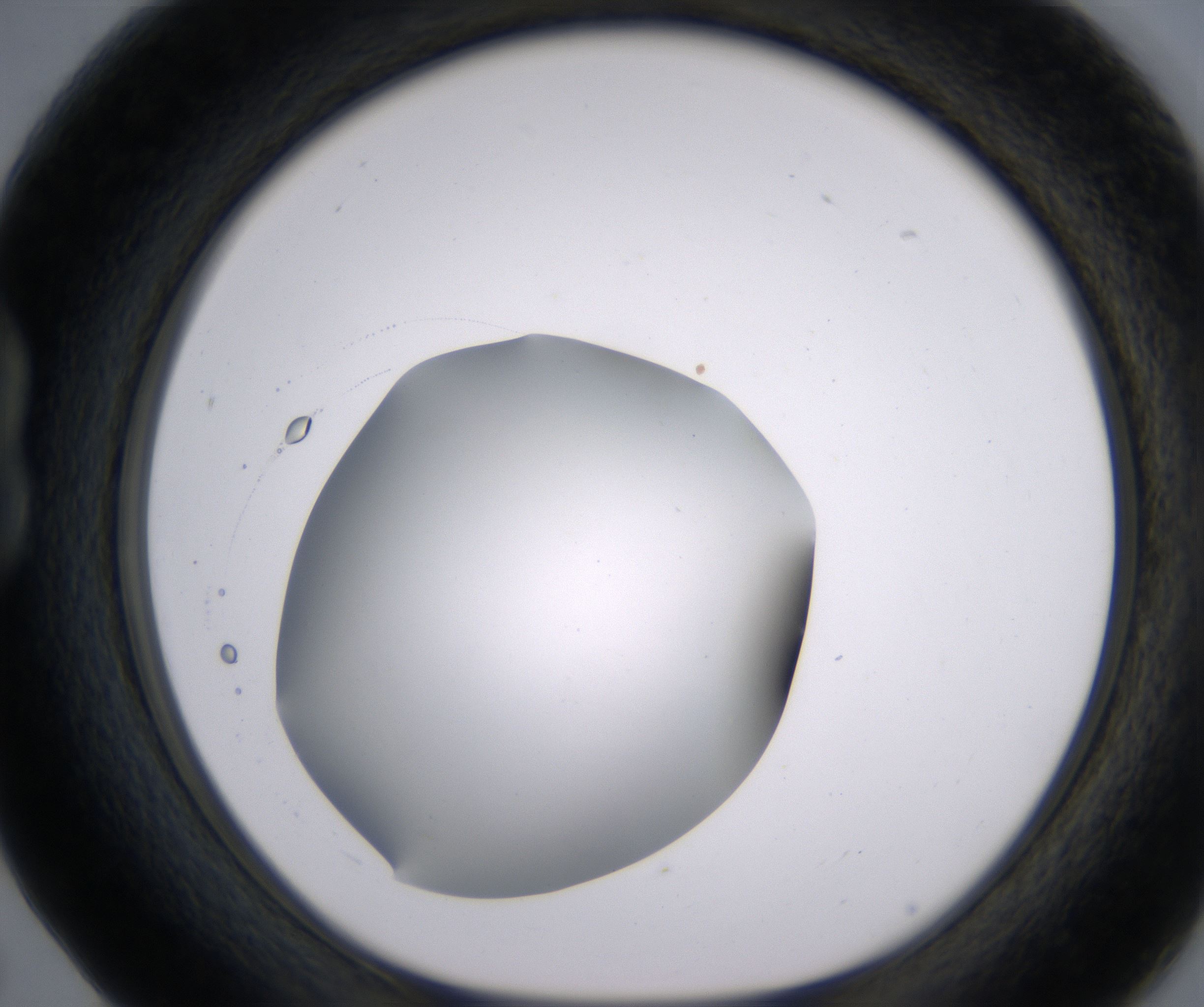 B5_HighResolution_Clear_1.jpg