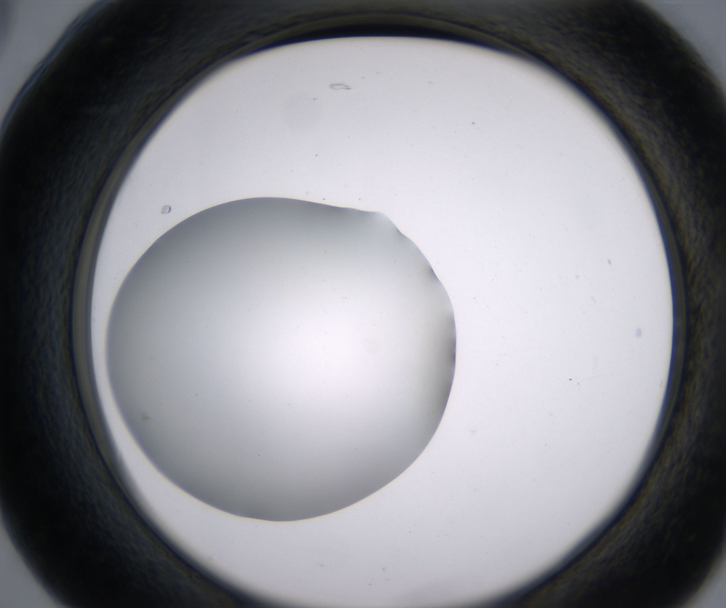 B5_HighResolution_Clear_2.jpg