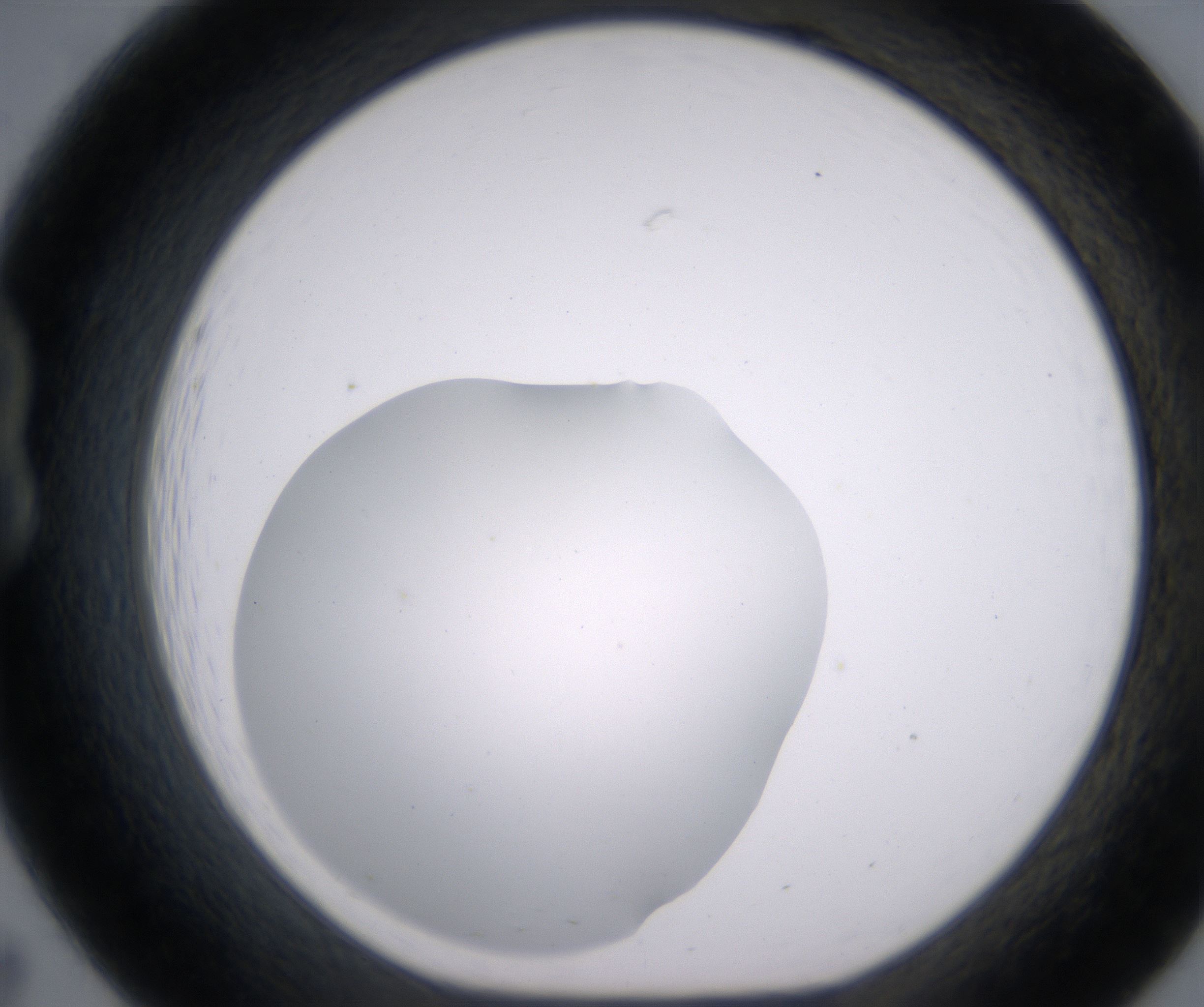 B7_HighResolution_Clear_1.jpg