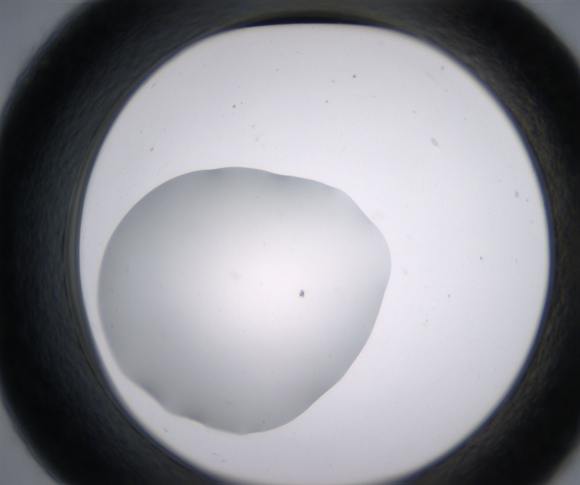 B7_HighResolution_Clear_2.jpg
