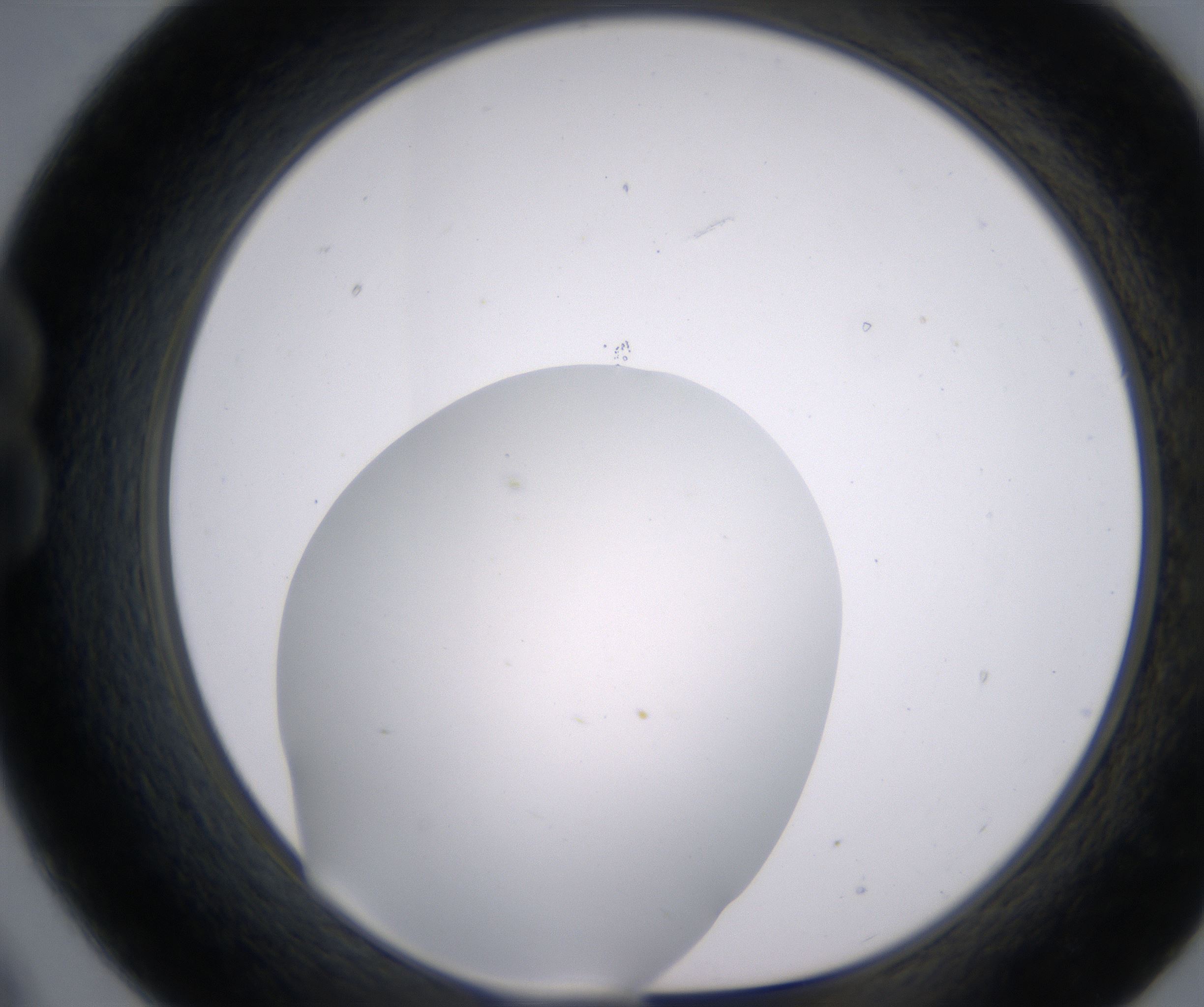 B9_HighResolution_Clear_1.jpg