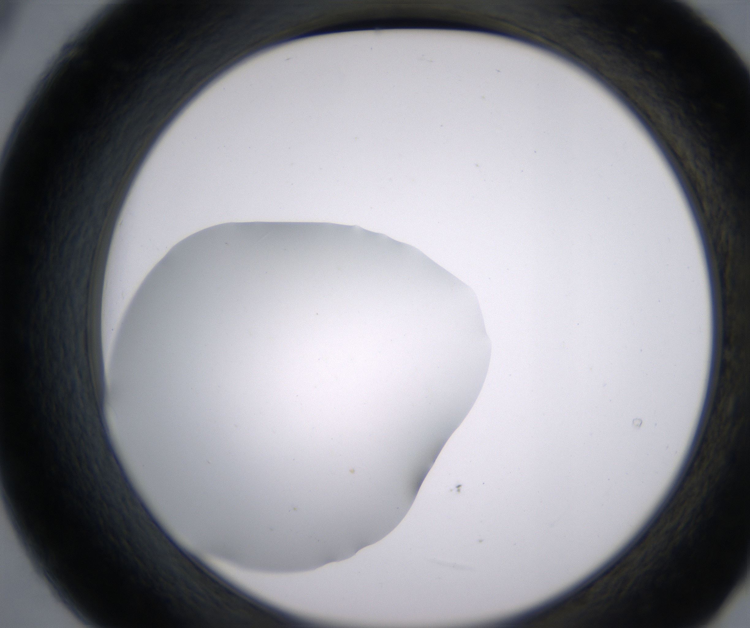 B9_HighResolution_Clear_2.jpg