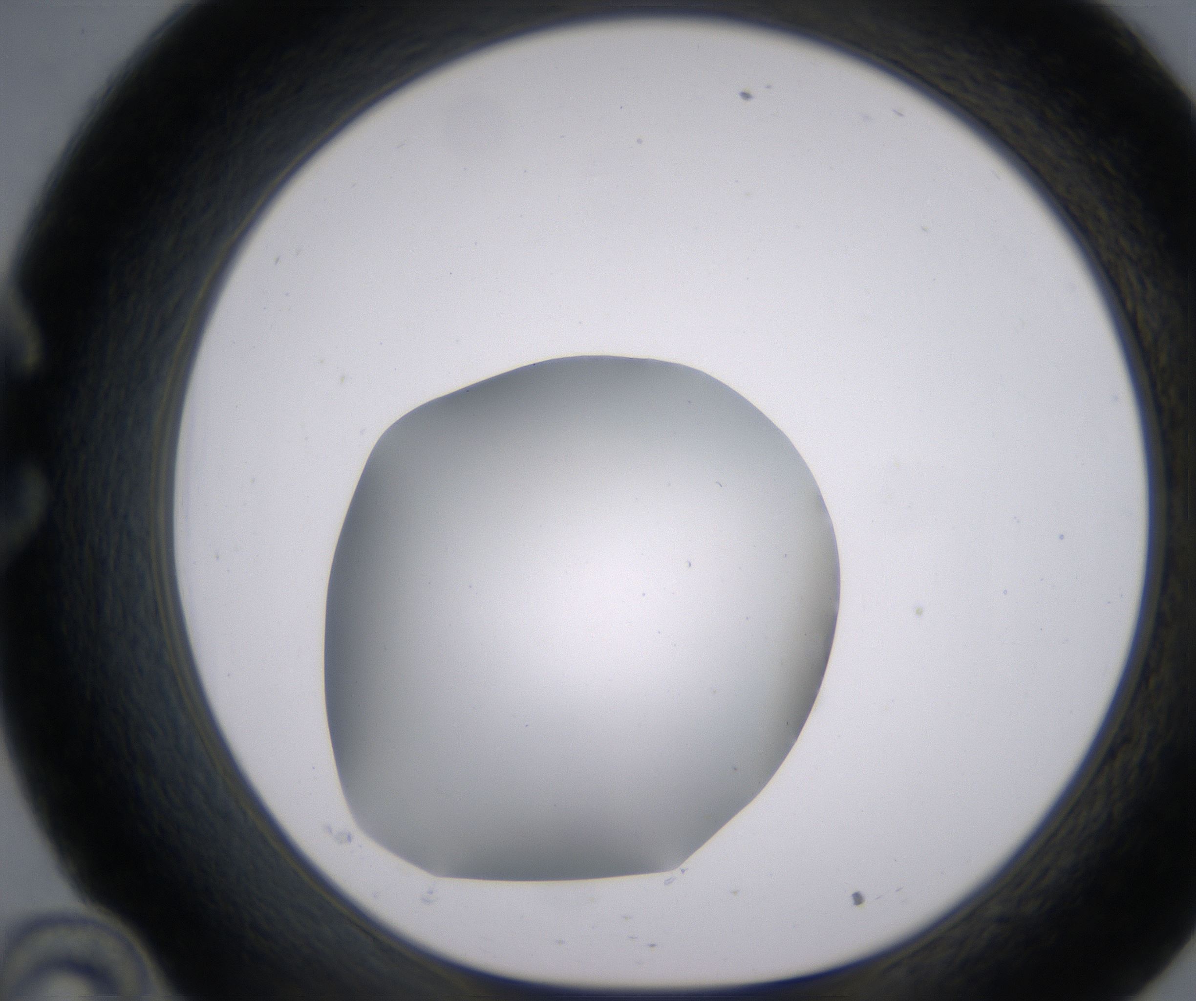 C10_HighResolution_Clear_1.jpg