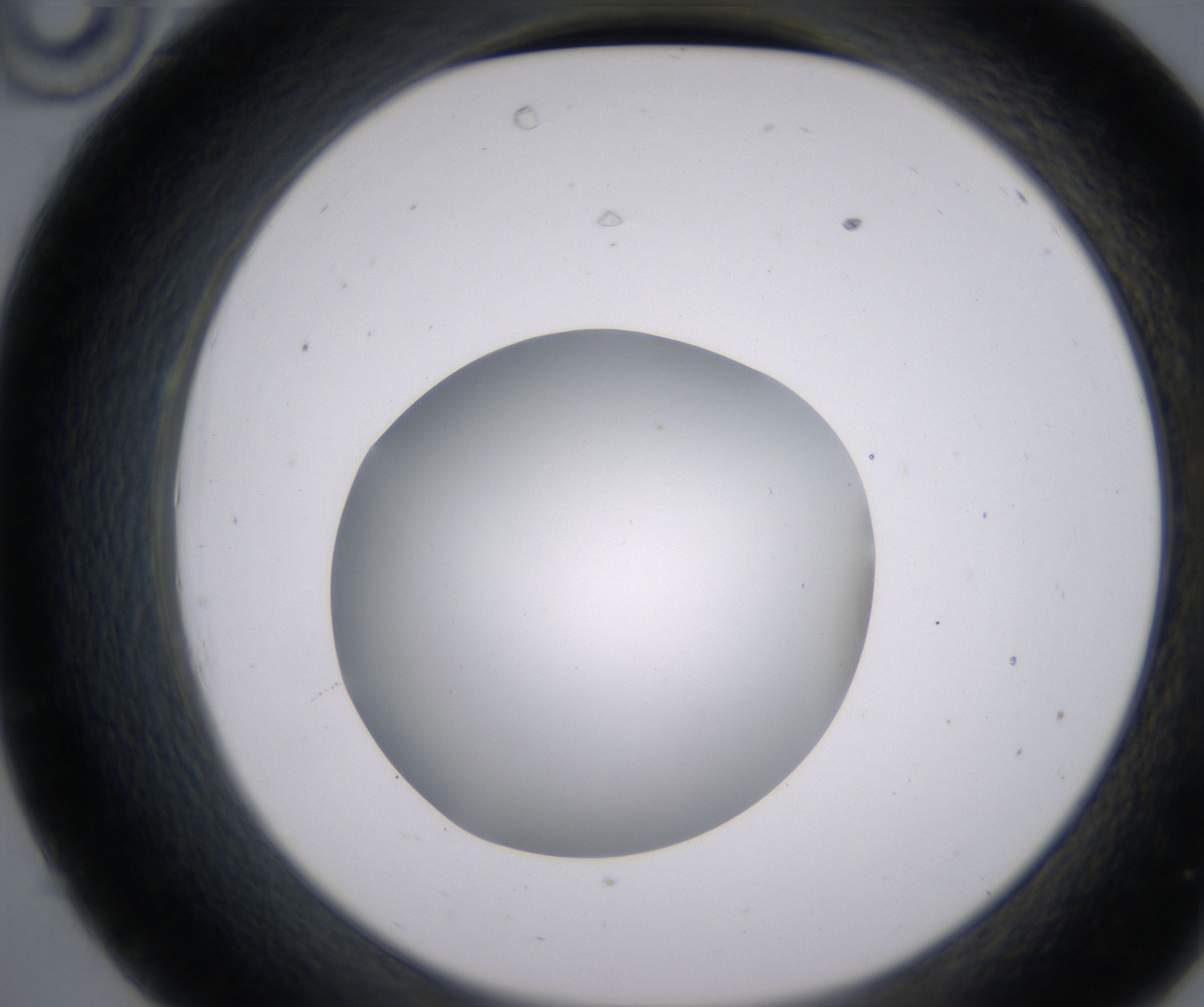 C10_HighResolution_Clear_2.jpg