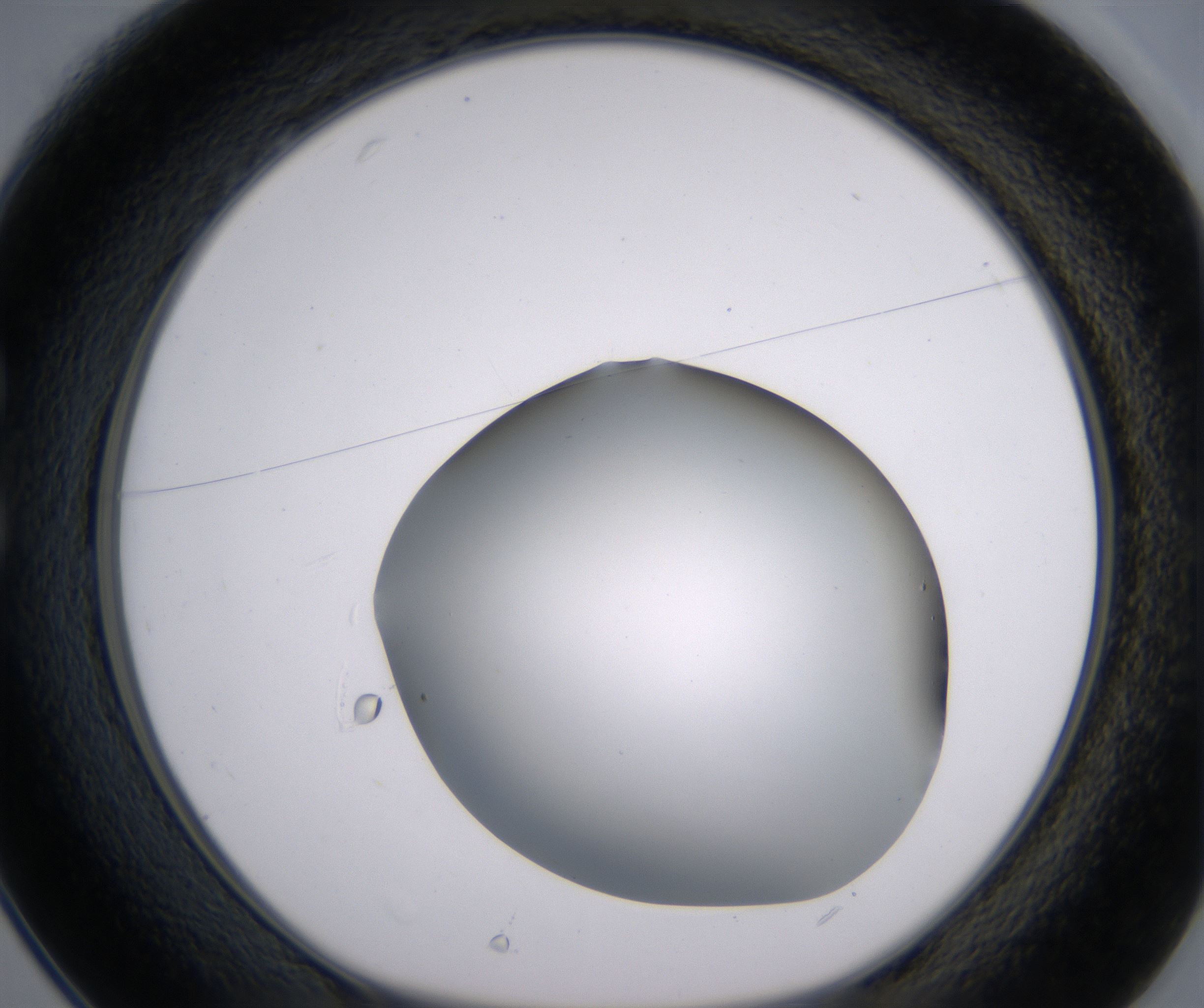 C1_HighResolution_Clear_1.jpg