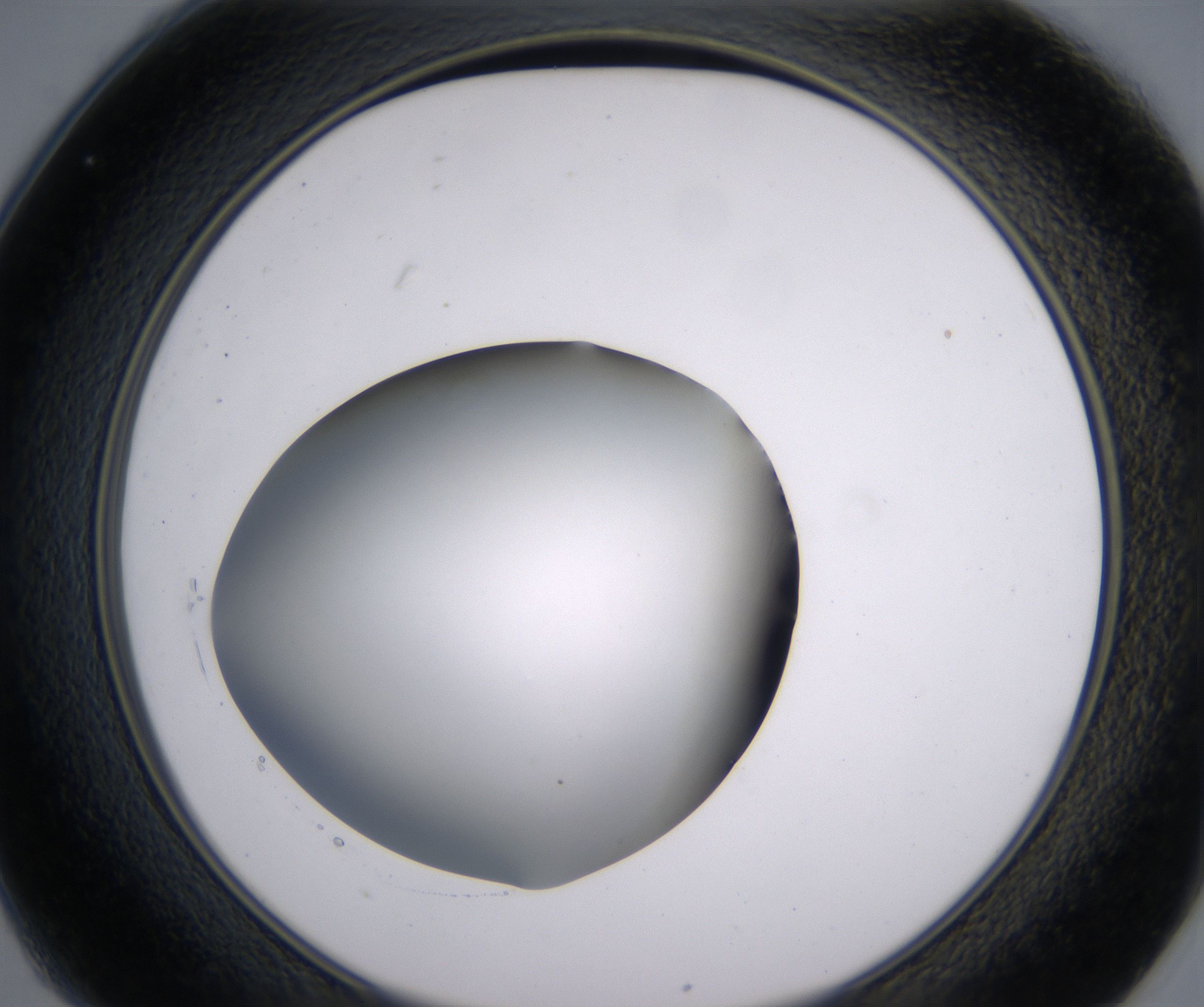 C1_HighResolution_Clear_2.jpg
