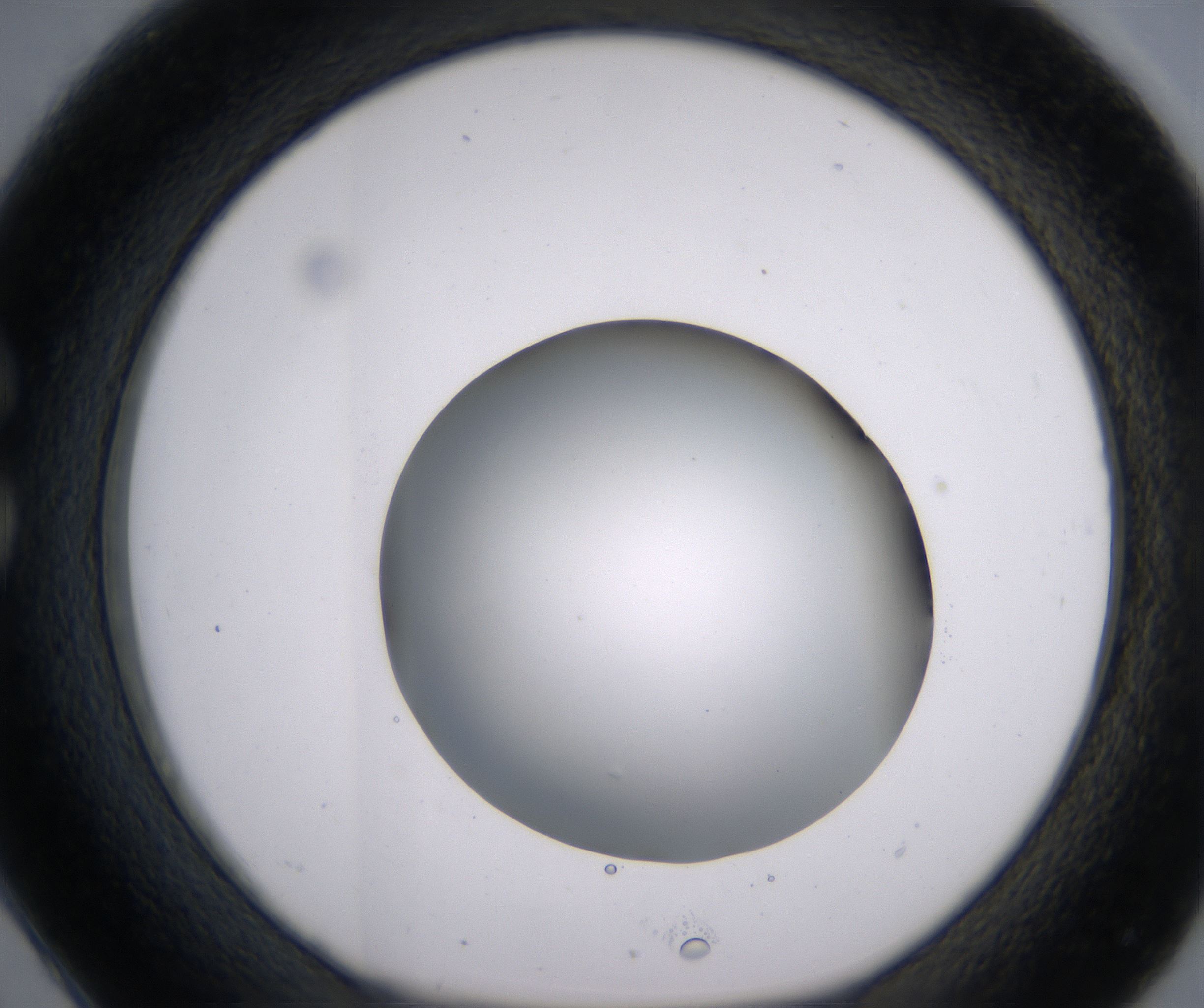 C2_HighResolution_Clear_1.jpg