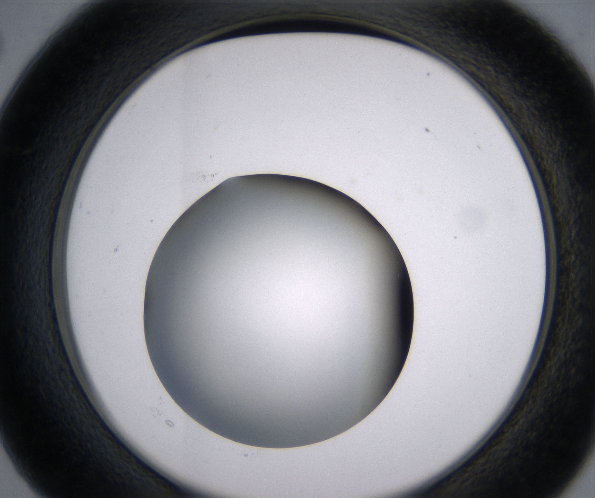 C2_HighResolution_Clear_2.jpg