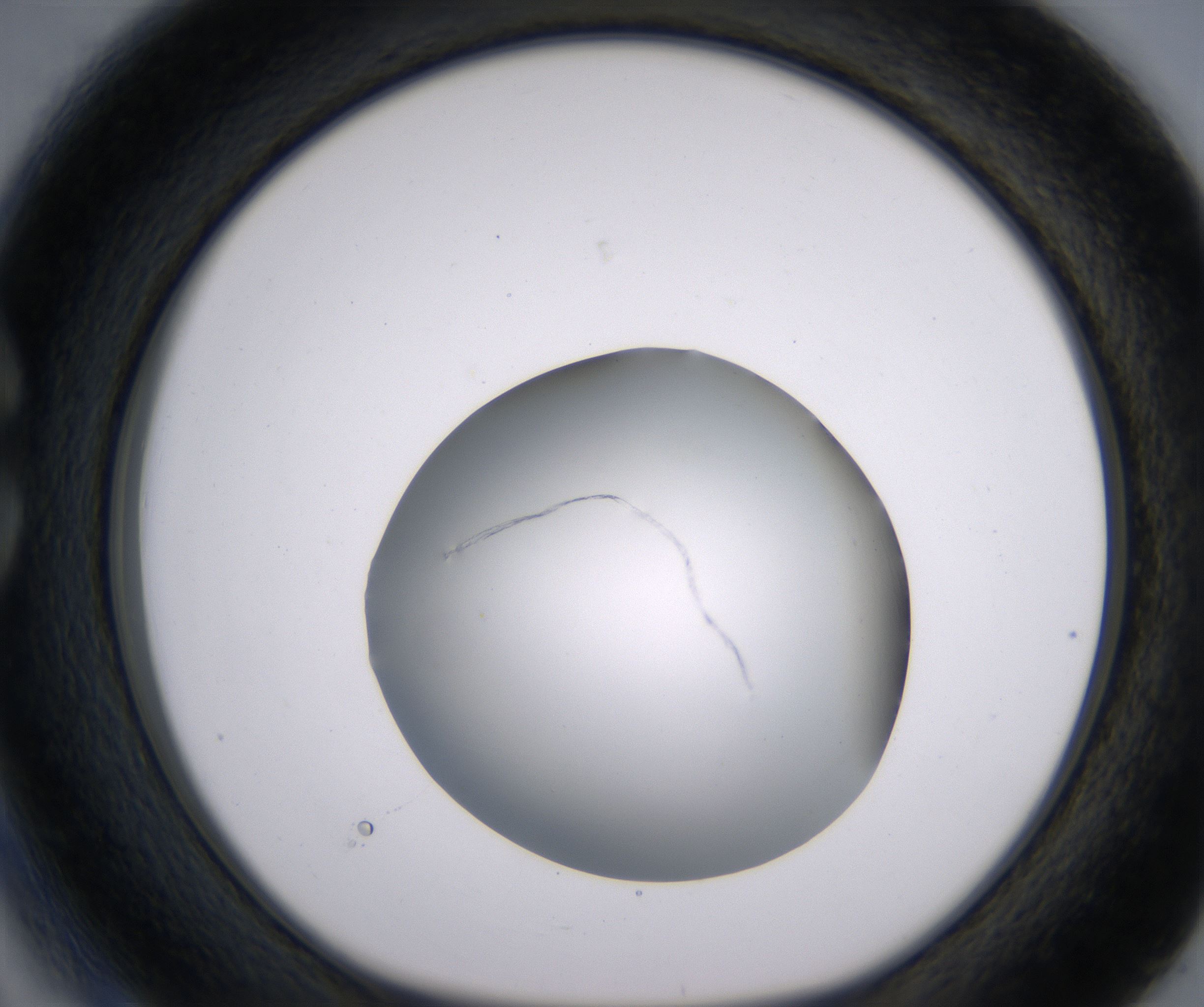 C3_HighResolution_Clear_1.jpg