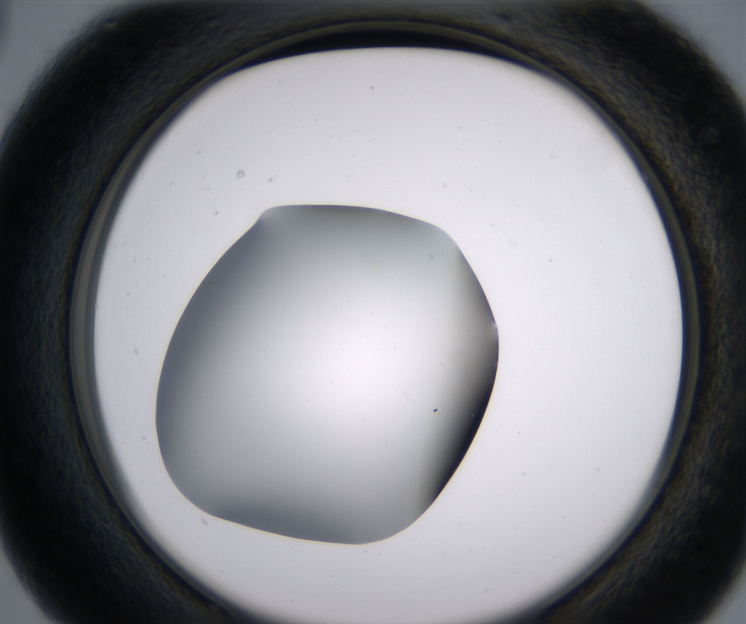 C3_HighResolution_Clear_2.jpg