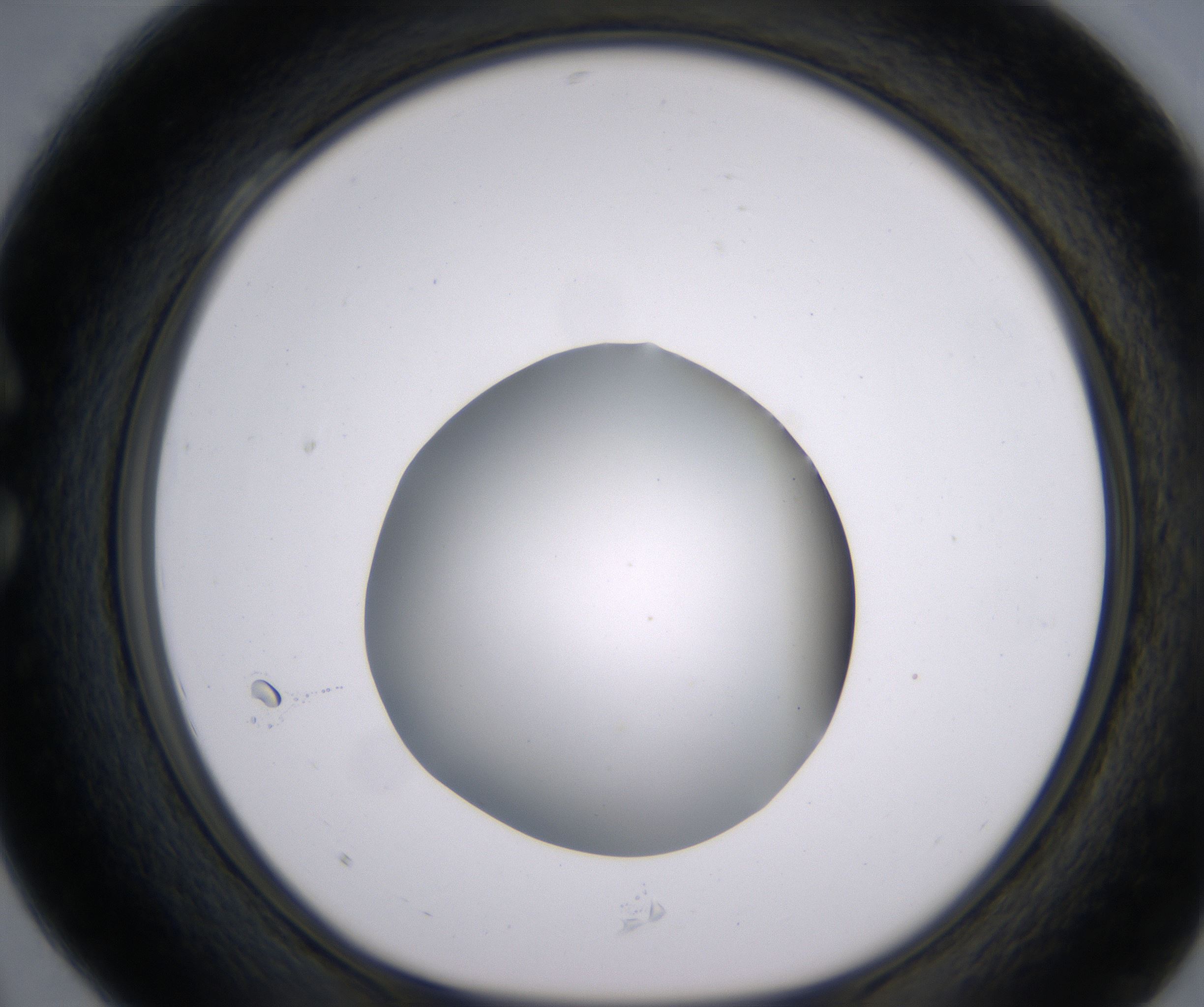 C4_HighResolution_Clear_1.jpg