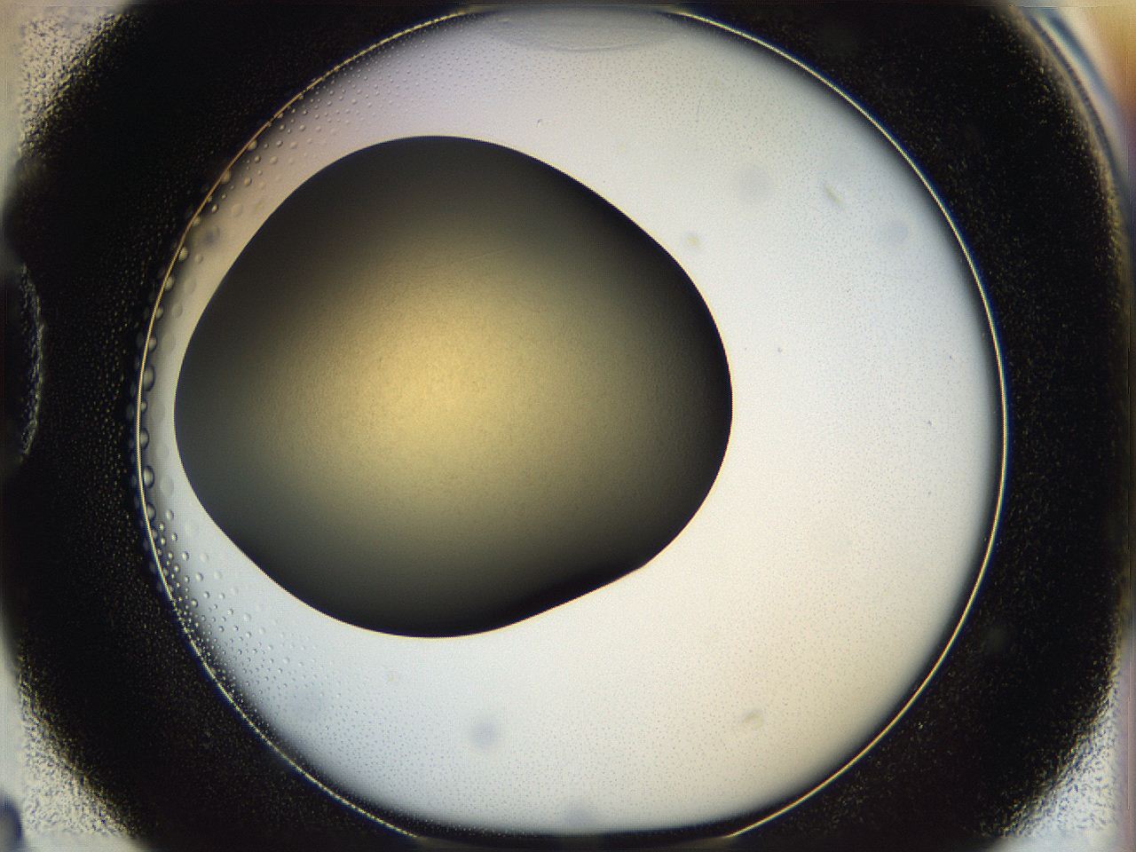 05k2_D4_ImagerDefaults_0.jpg