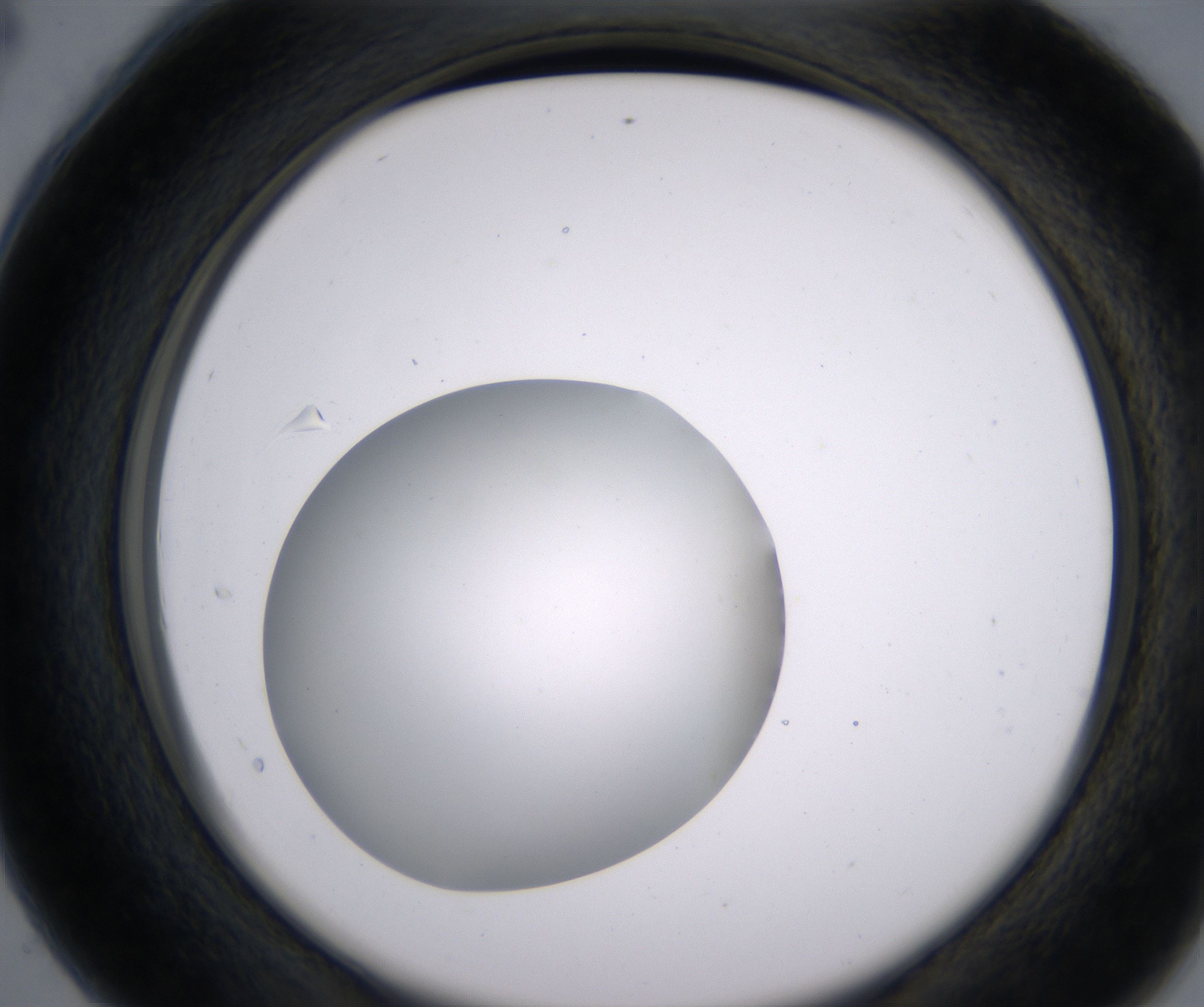 C4_HighResolution_Clear_2.jpg