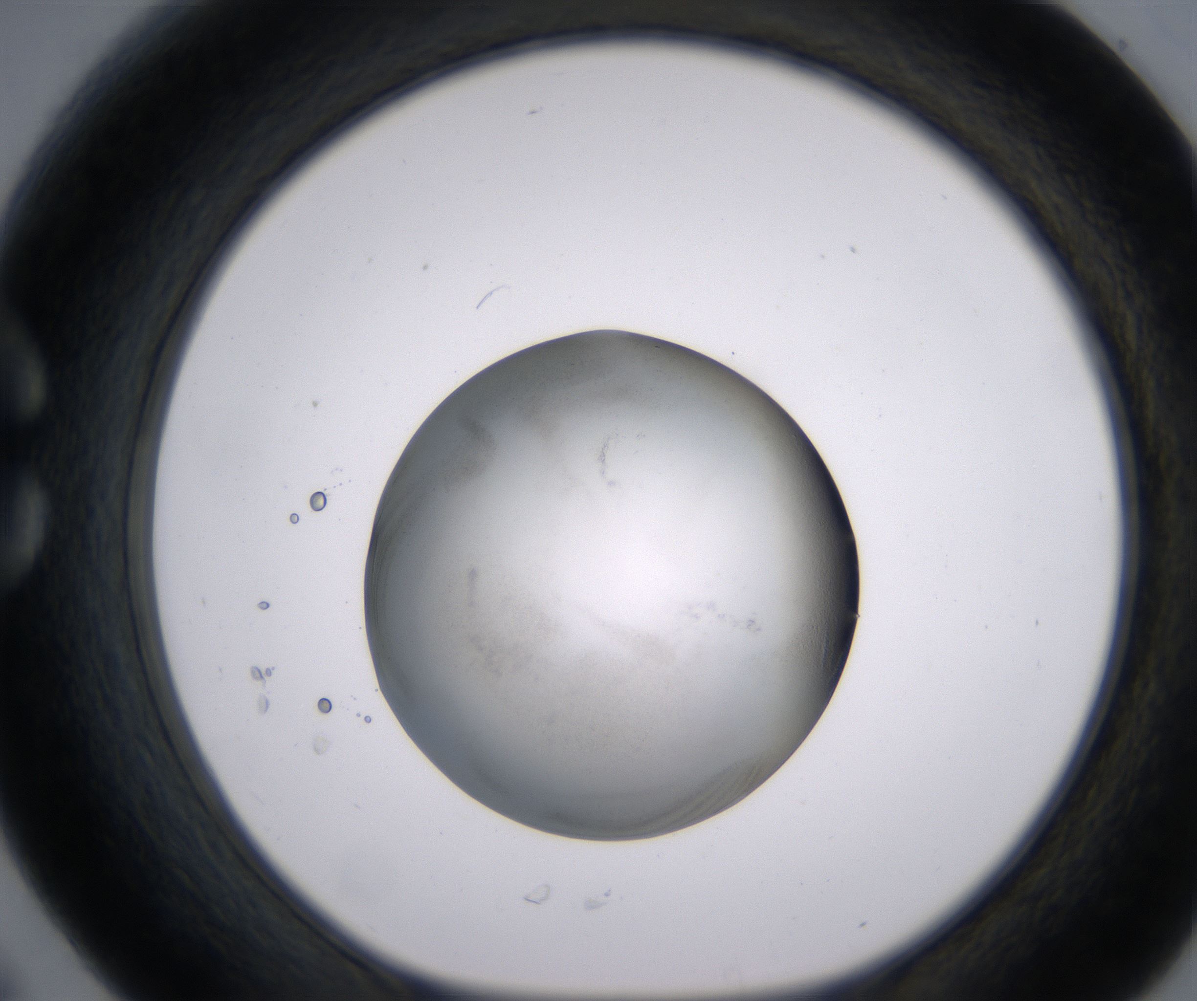 C6_HighResolution_Precipitate_1.jpg