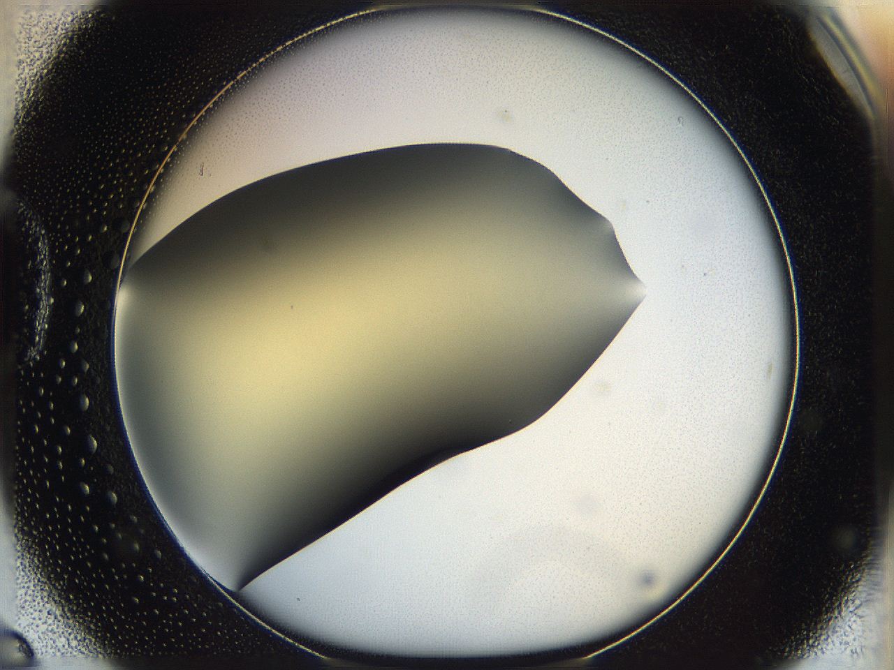 05k2_D6_ImagerDefaults_0.jpg