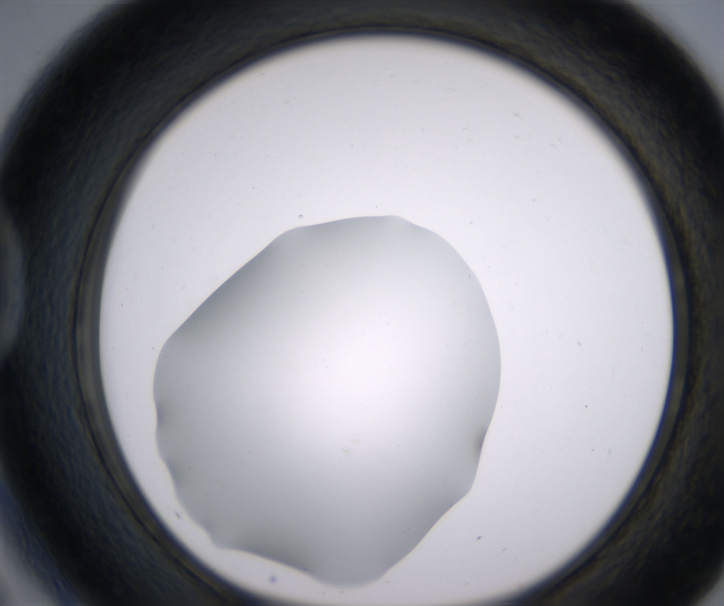 D5_HighResolution_Clear_1.jpg