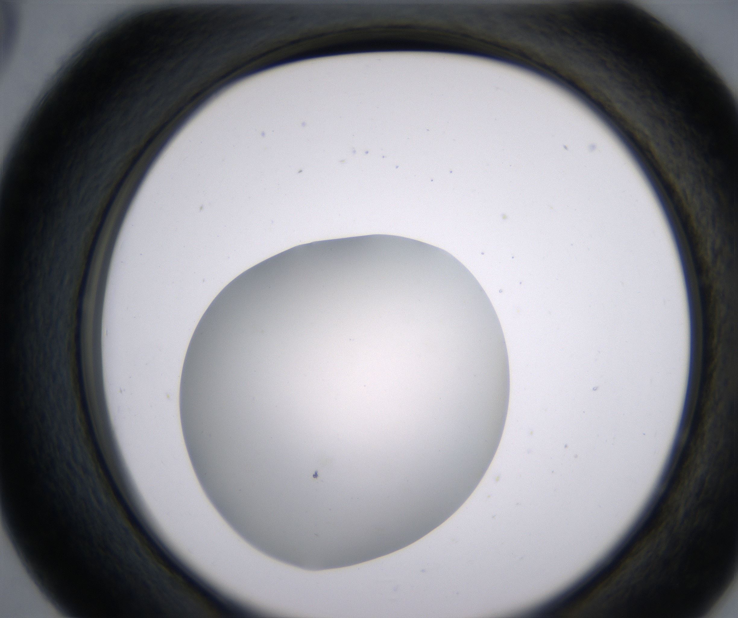 D5_HighResolution_Clear_2.jpg