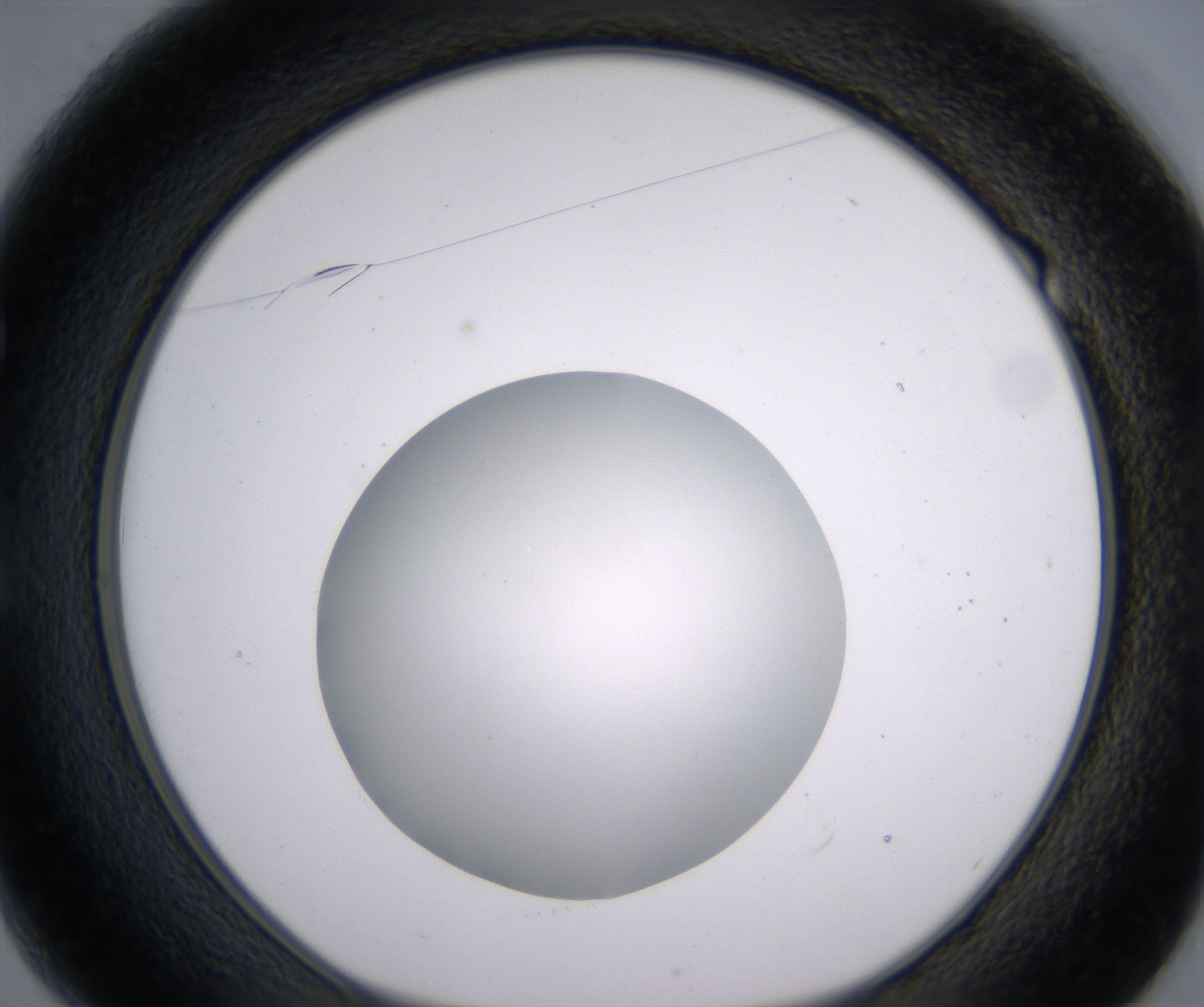 E1_HighResolution_Clear_1.jpg