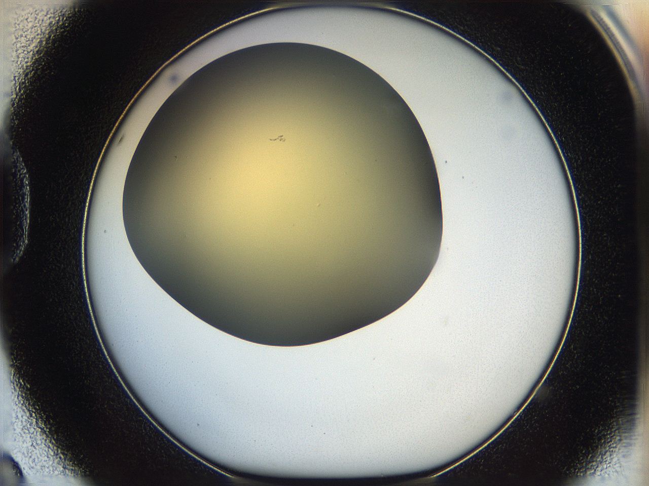 05k2_D8_ImagerDefaults_0.jpg