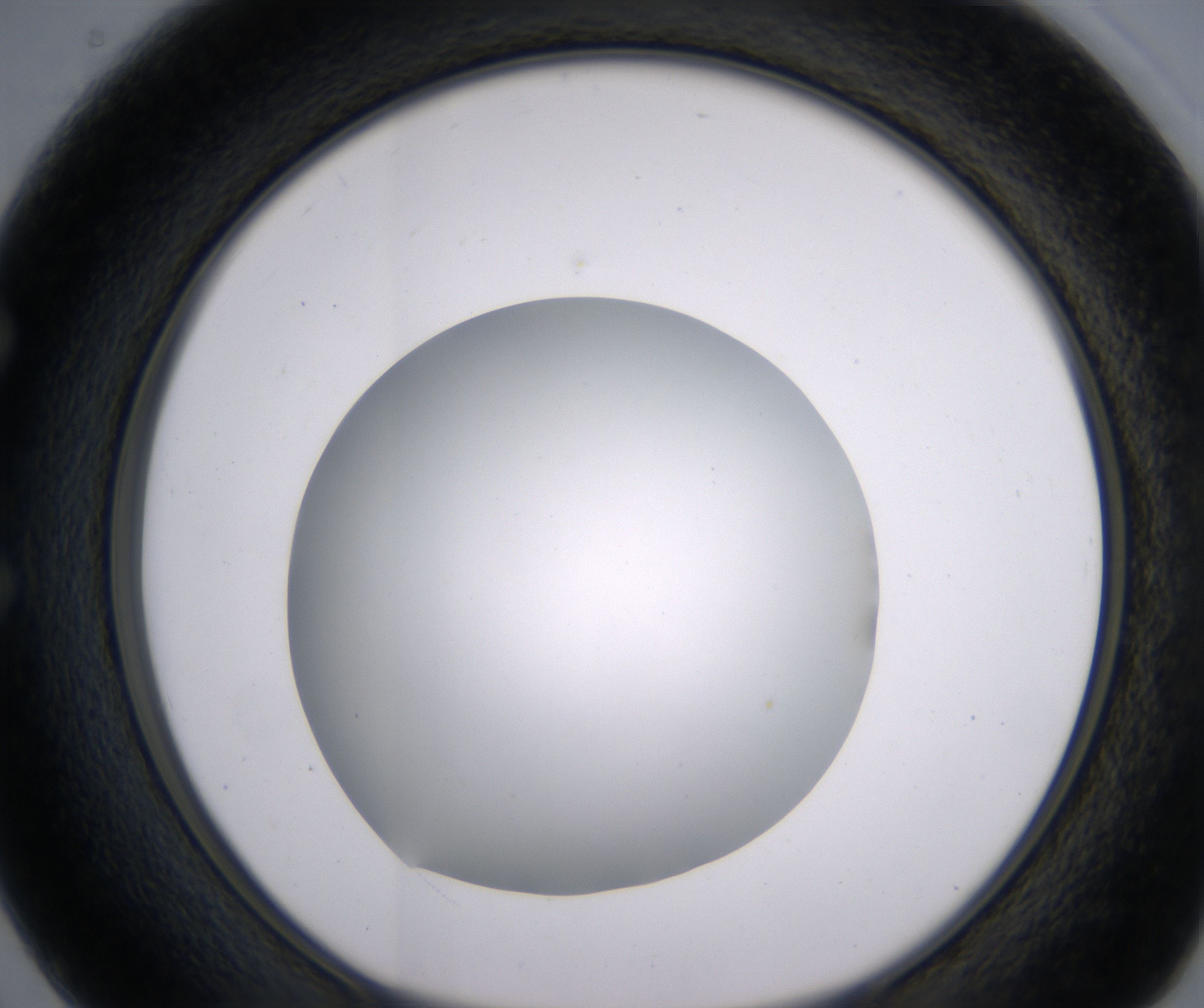 E2_HighResolution_Clear_1.jpg