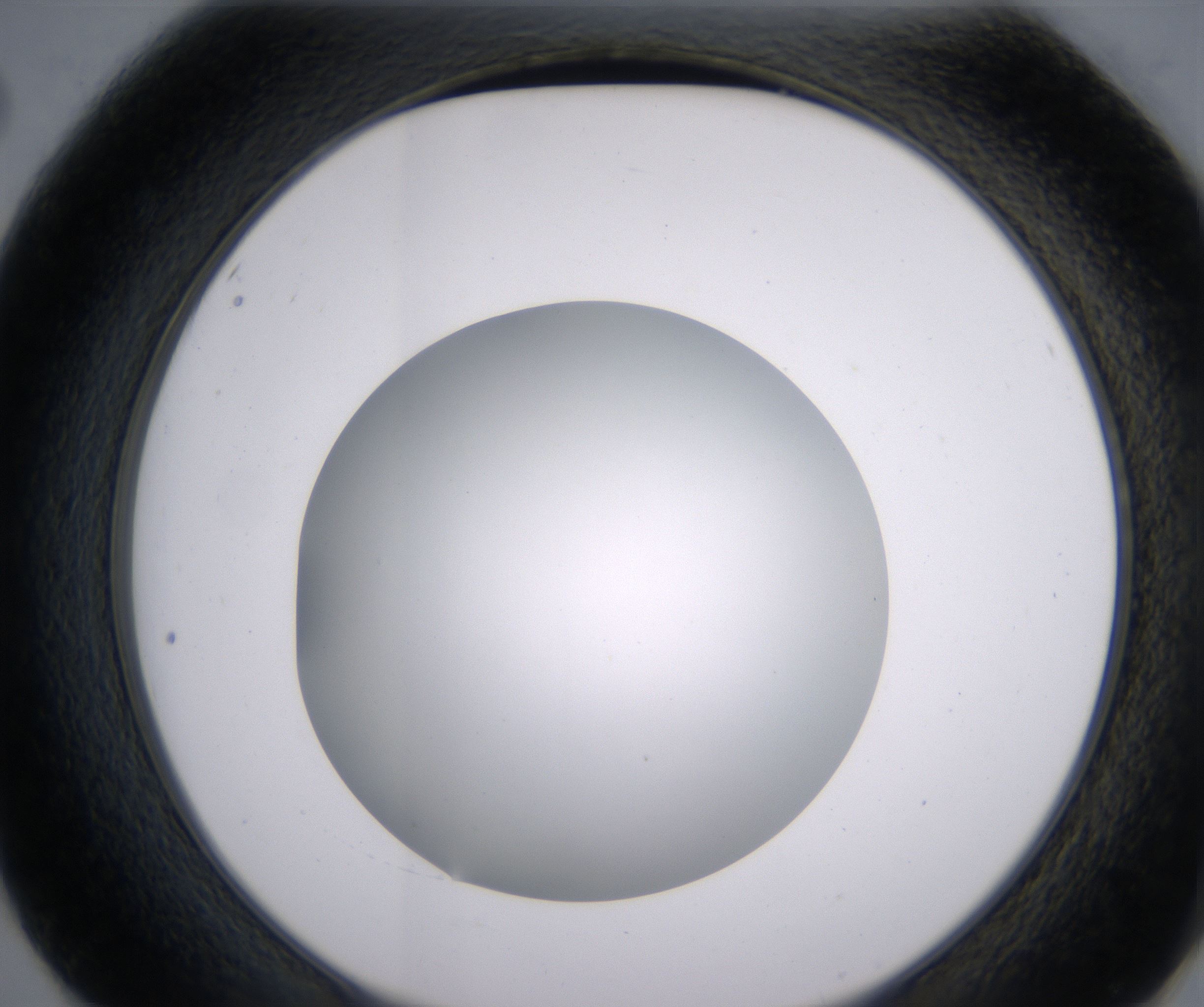 E2_HighResolution_Clear_2.jpg
