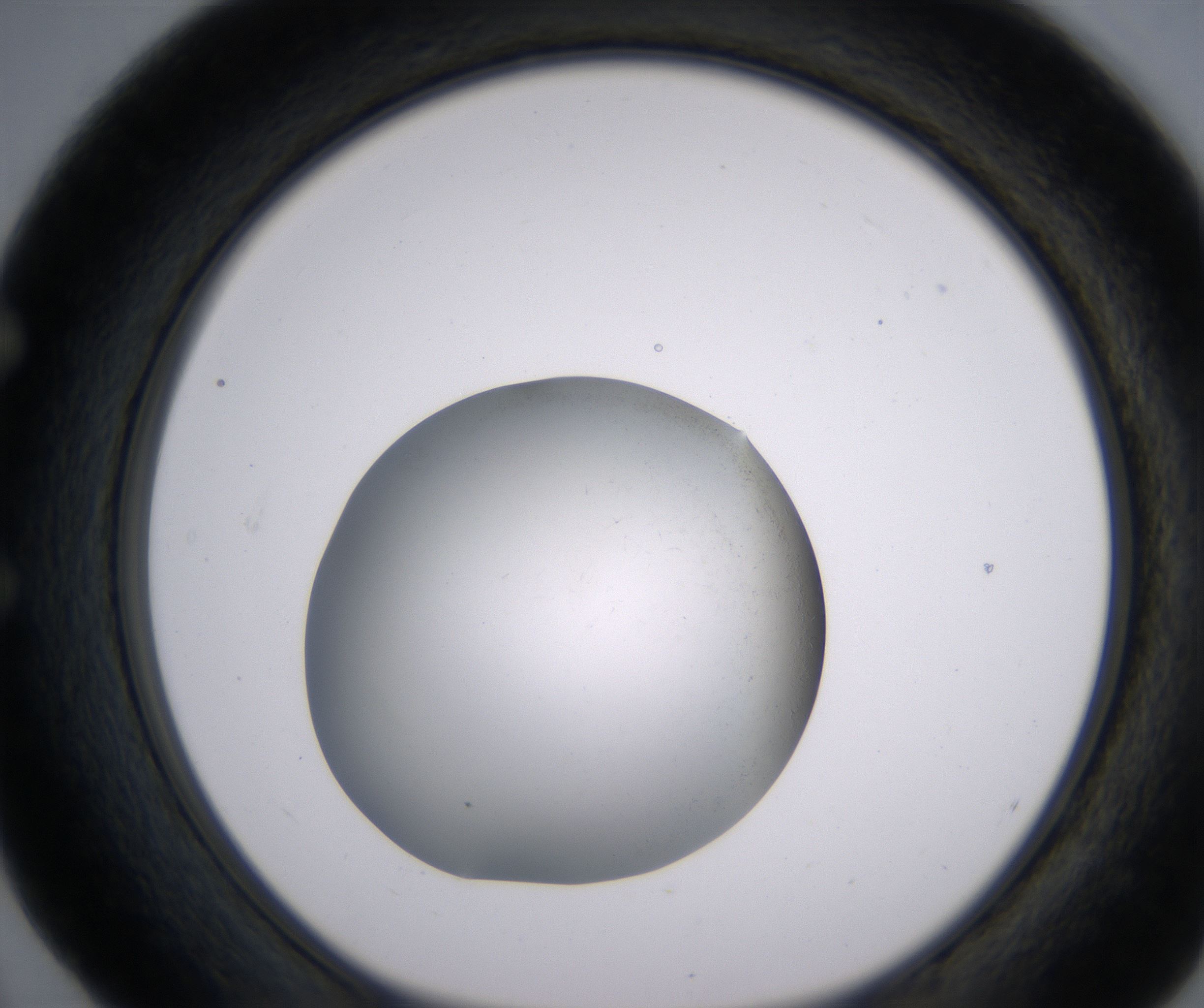 E4_HighResolution_Clear_1.jpg