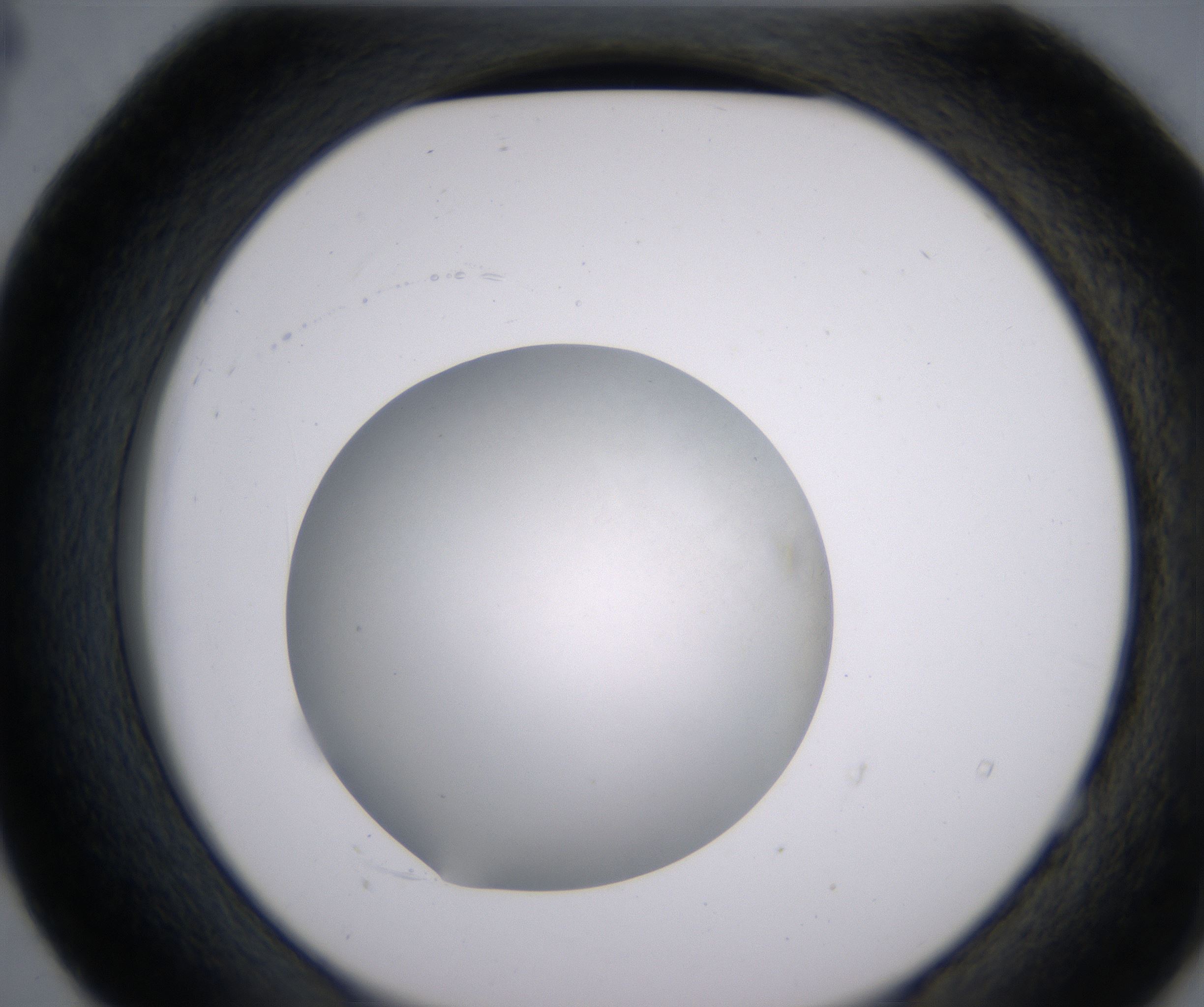 E4_HighResolution_Clear_2.jpg