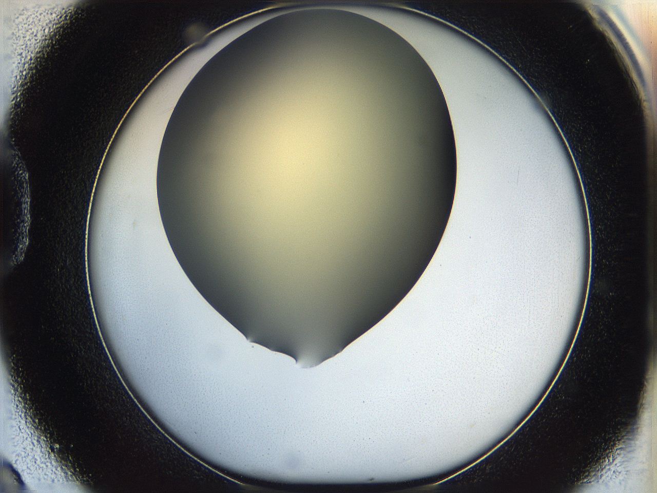 05k2_D9_ImagerDefaults_0.jpg