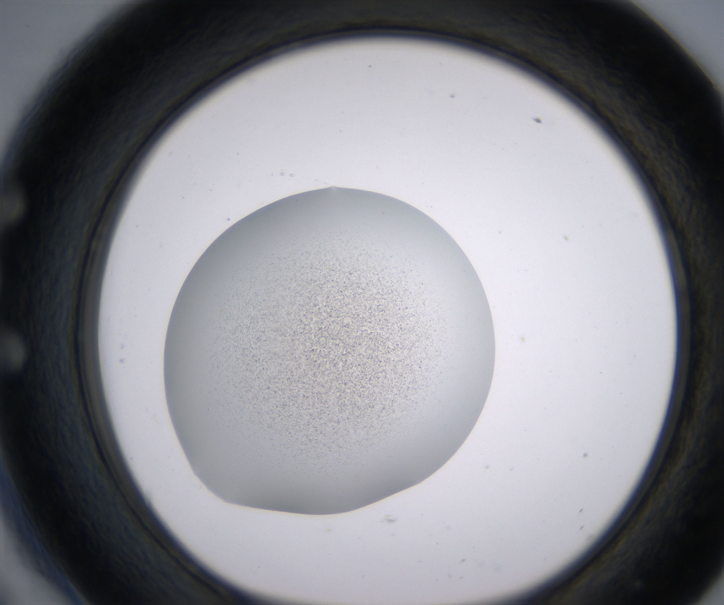 E6_HighResolution_Precipitate_1.jpg