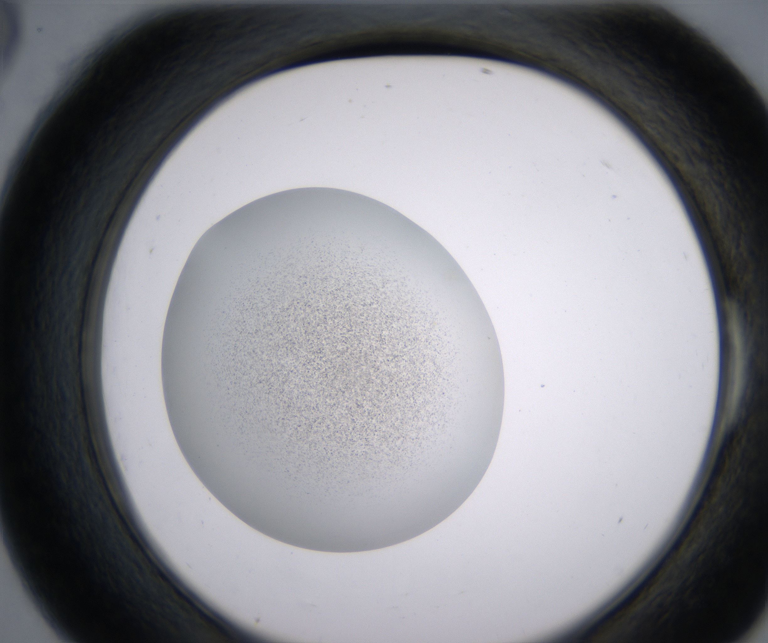 E6_HighResolution_Precipitate_2.jpg