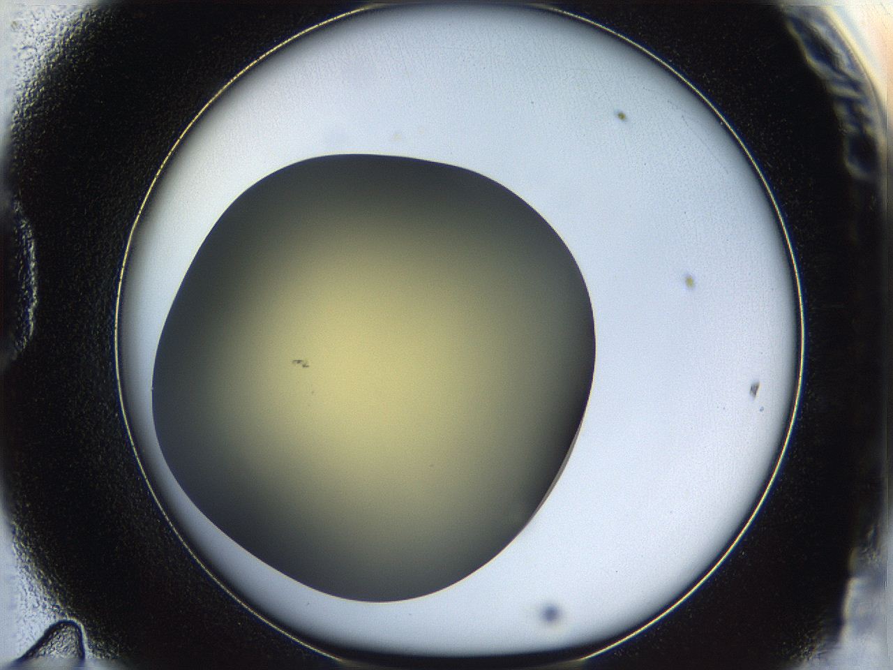 05k2_D11_ImagerDefaults_0.jpg