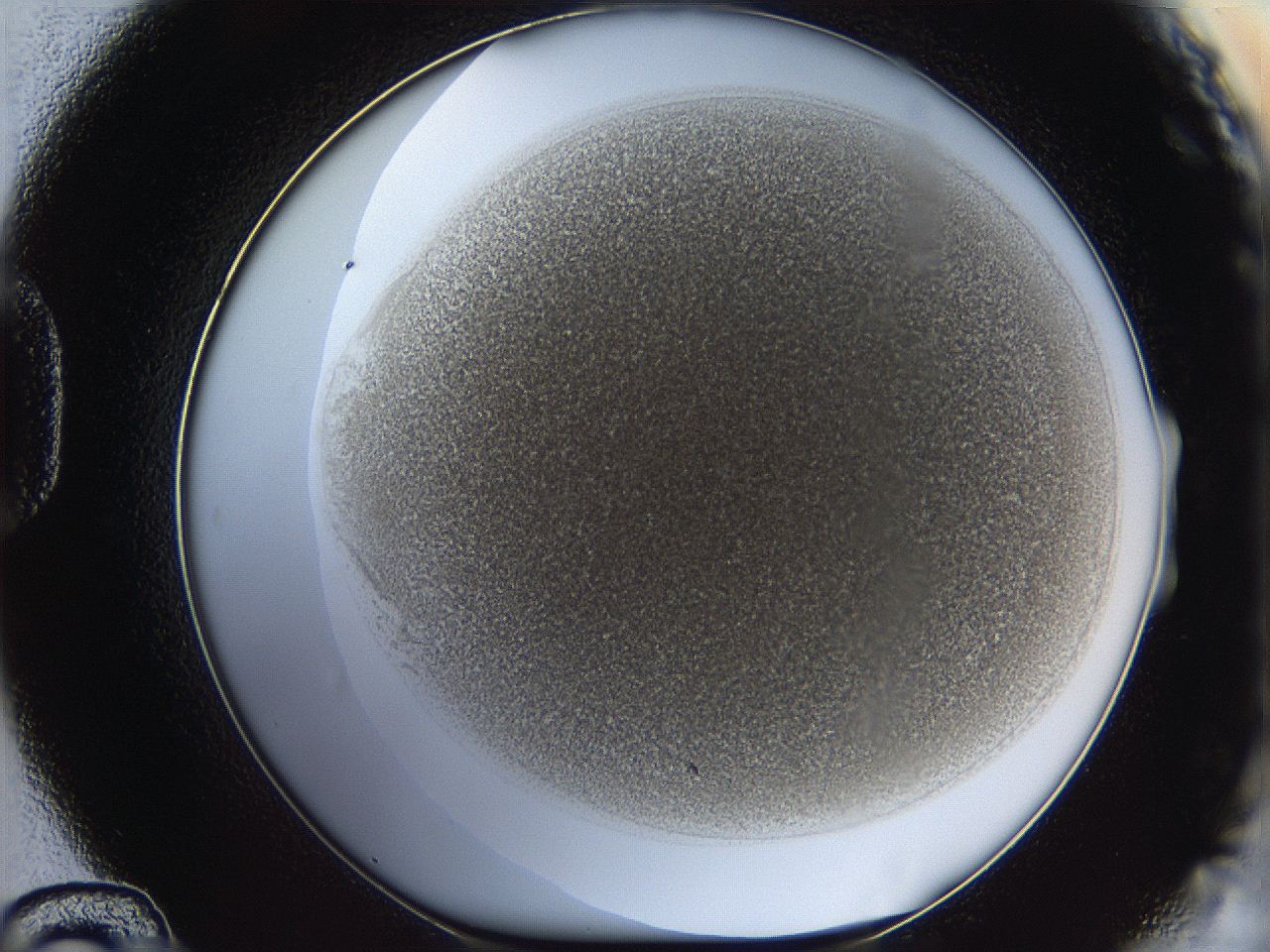 05k2_D12_ImagerDefaults_3.jpg
