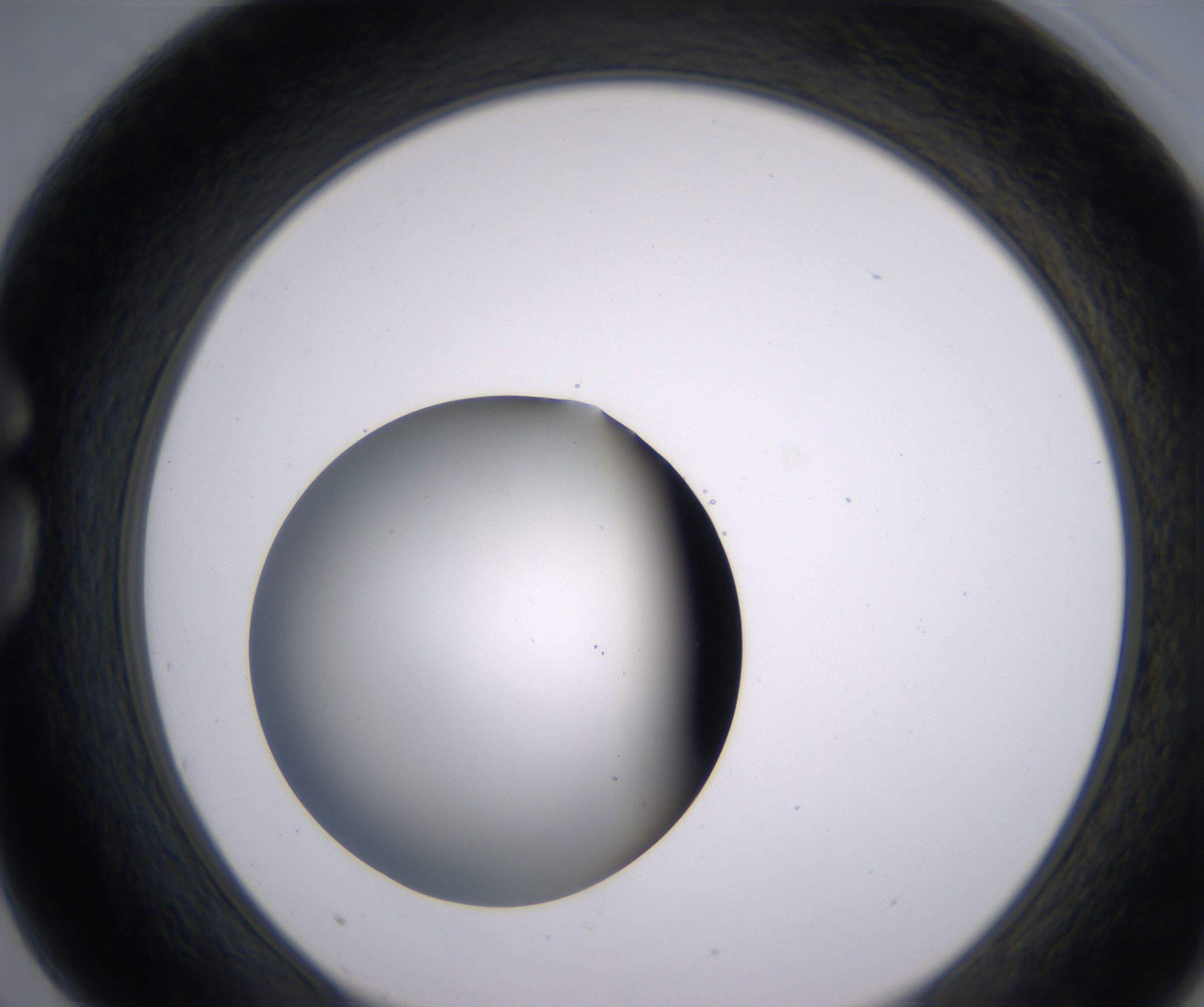 G3_HighResolution_Clear_1.jpg