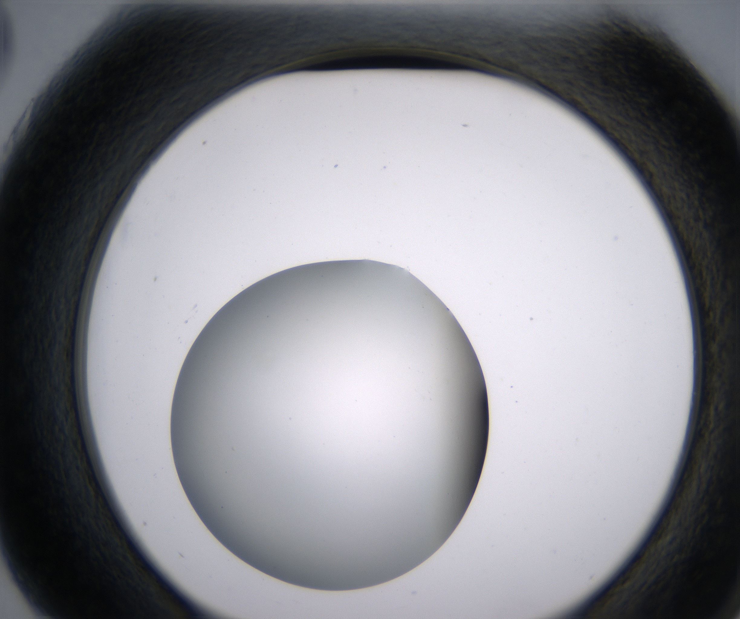 G3_HighResolution_Clear_2.jpg