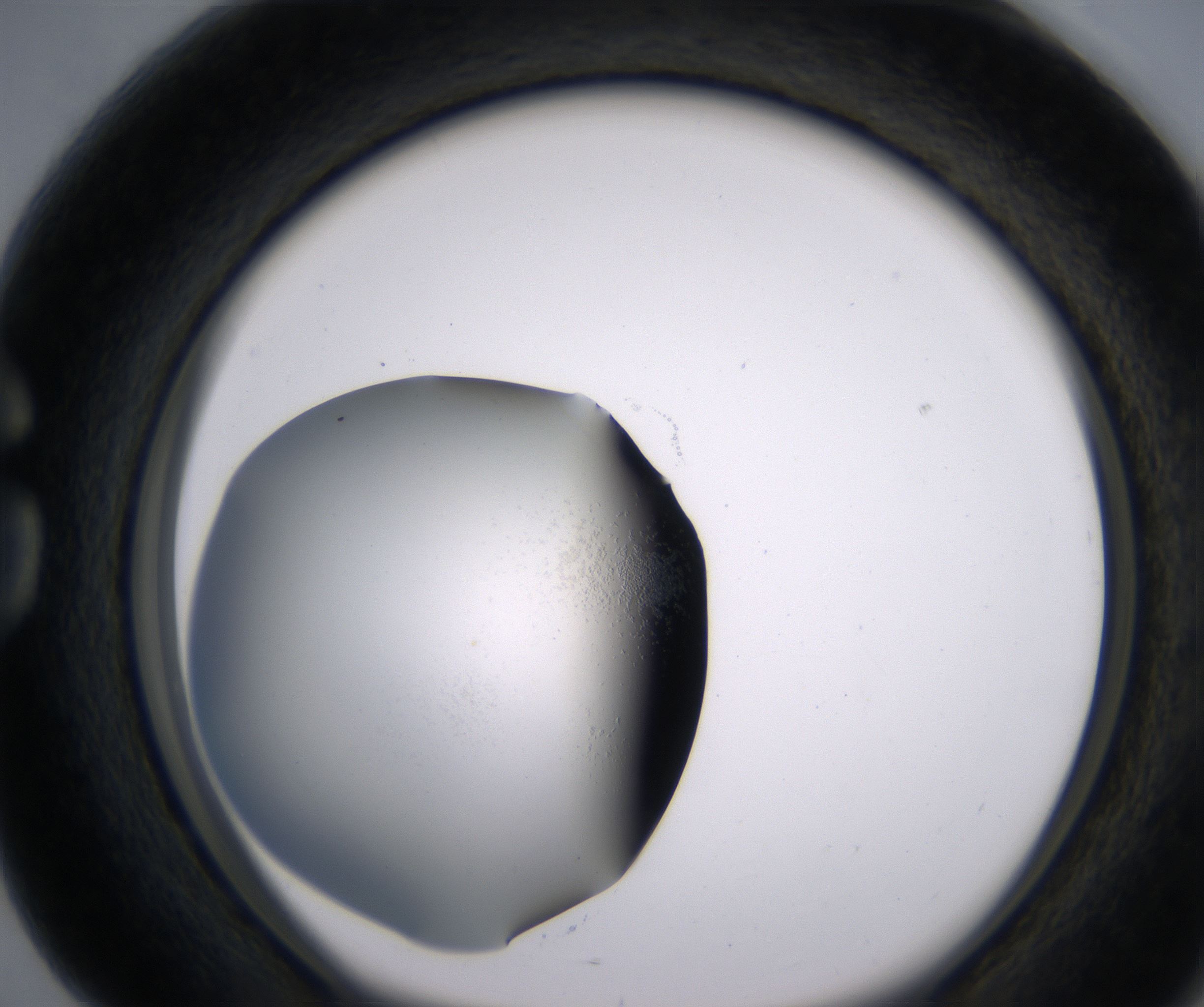 G4_HighResolution_Clear_1.jpg